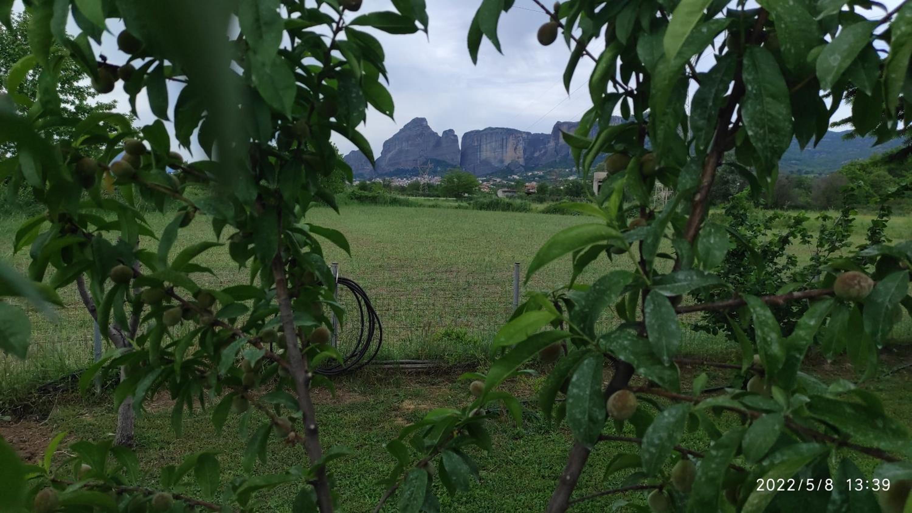 Photo 21