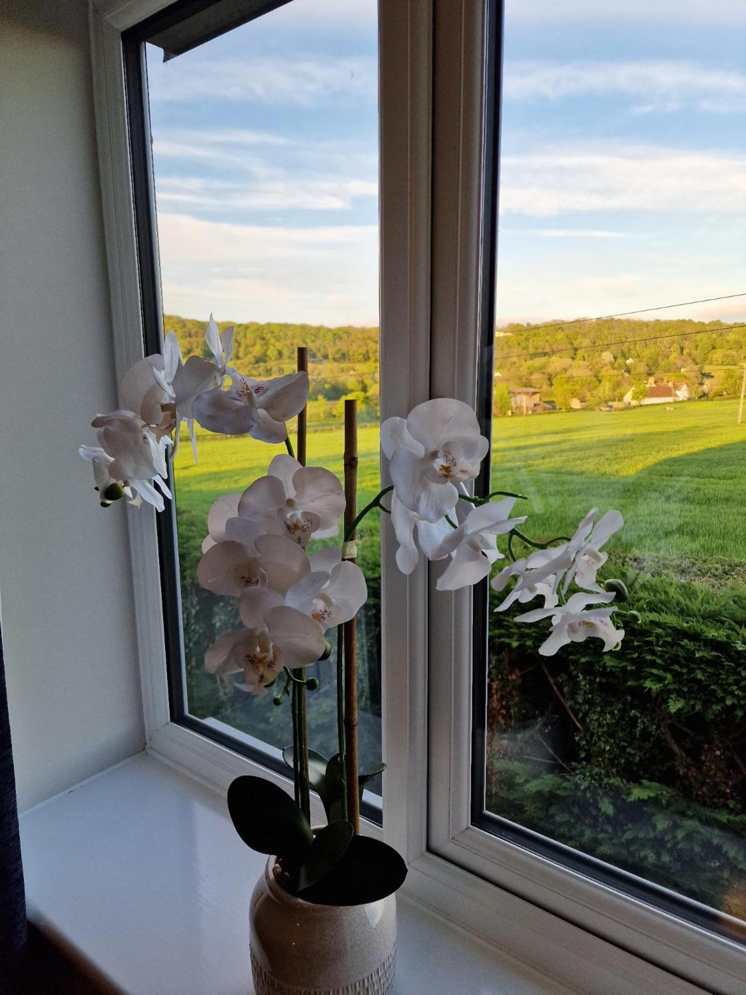 Swan Retreat view 5