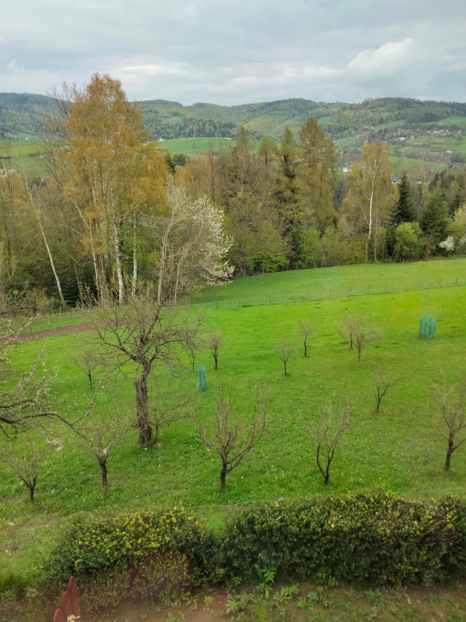 Photo 44