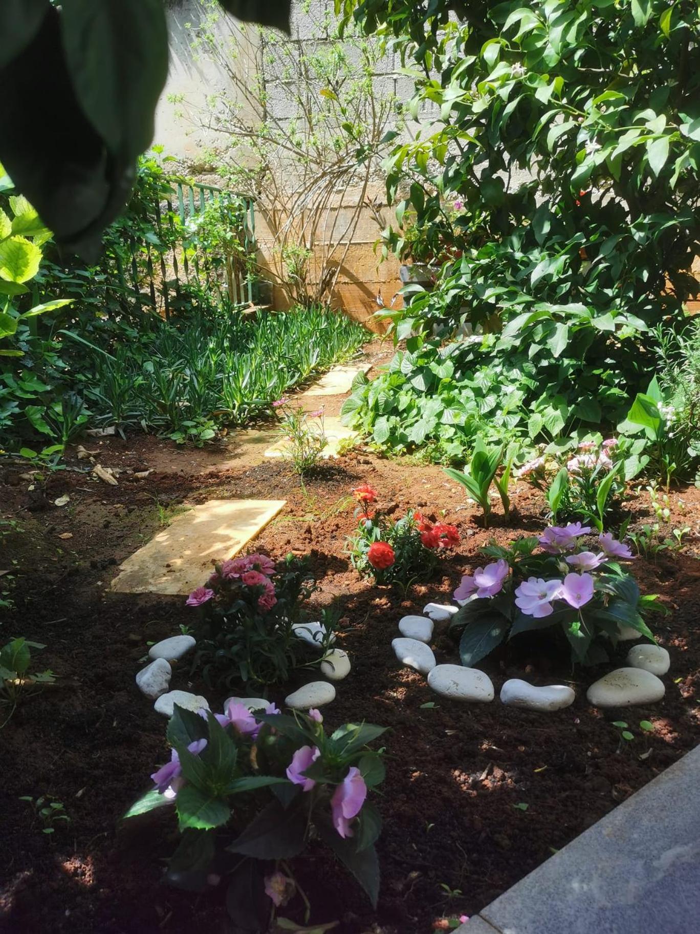 Photo 47
