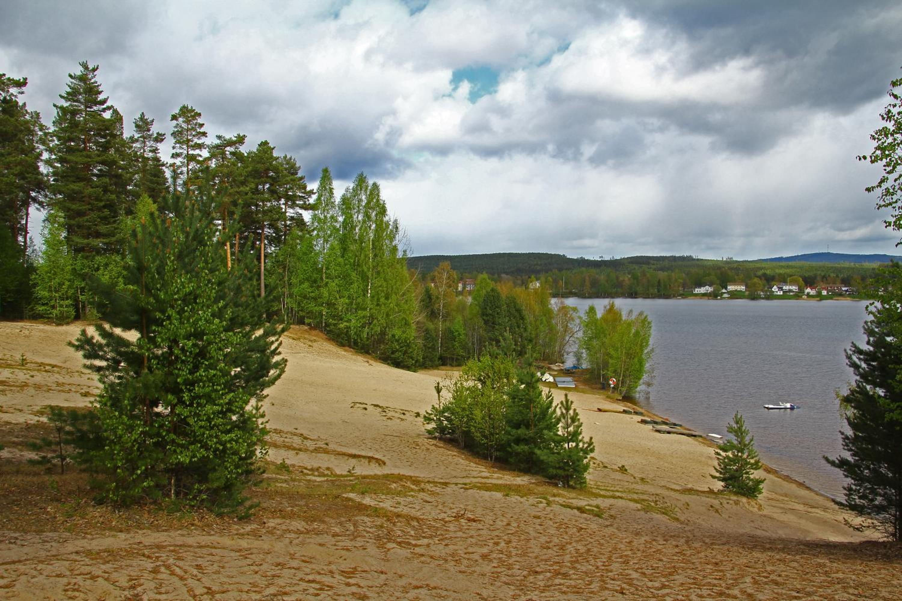 Photo 6