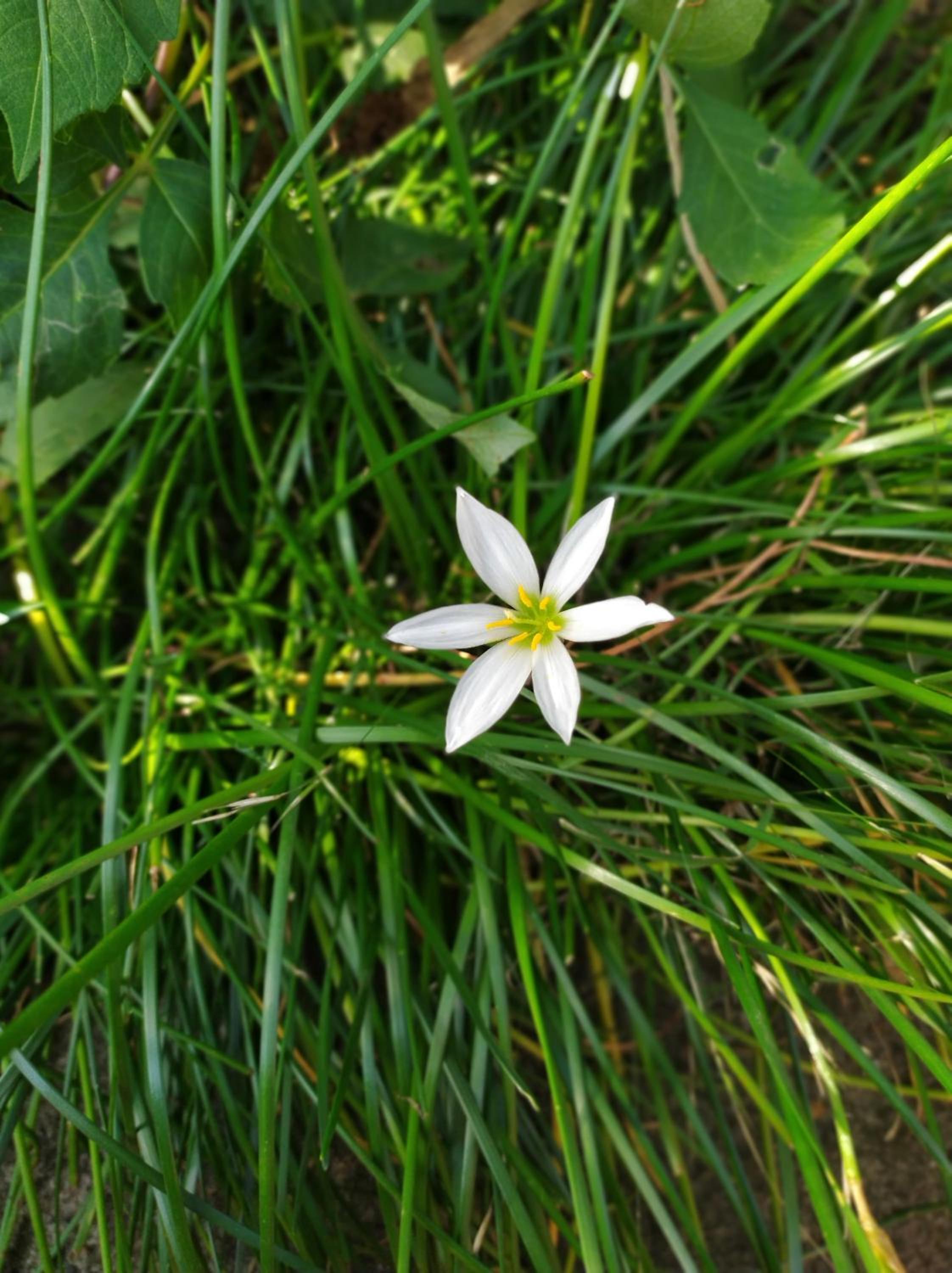 Photo 45