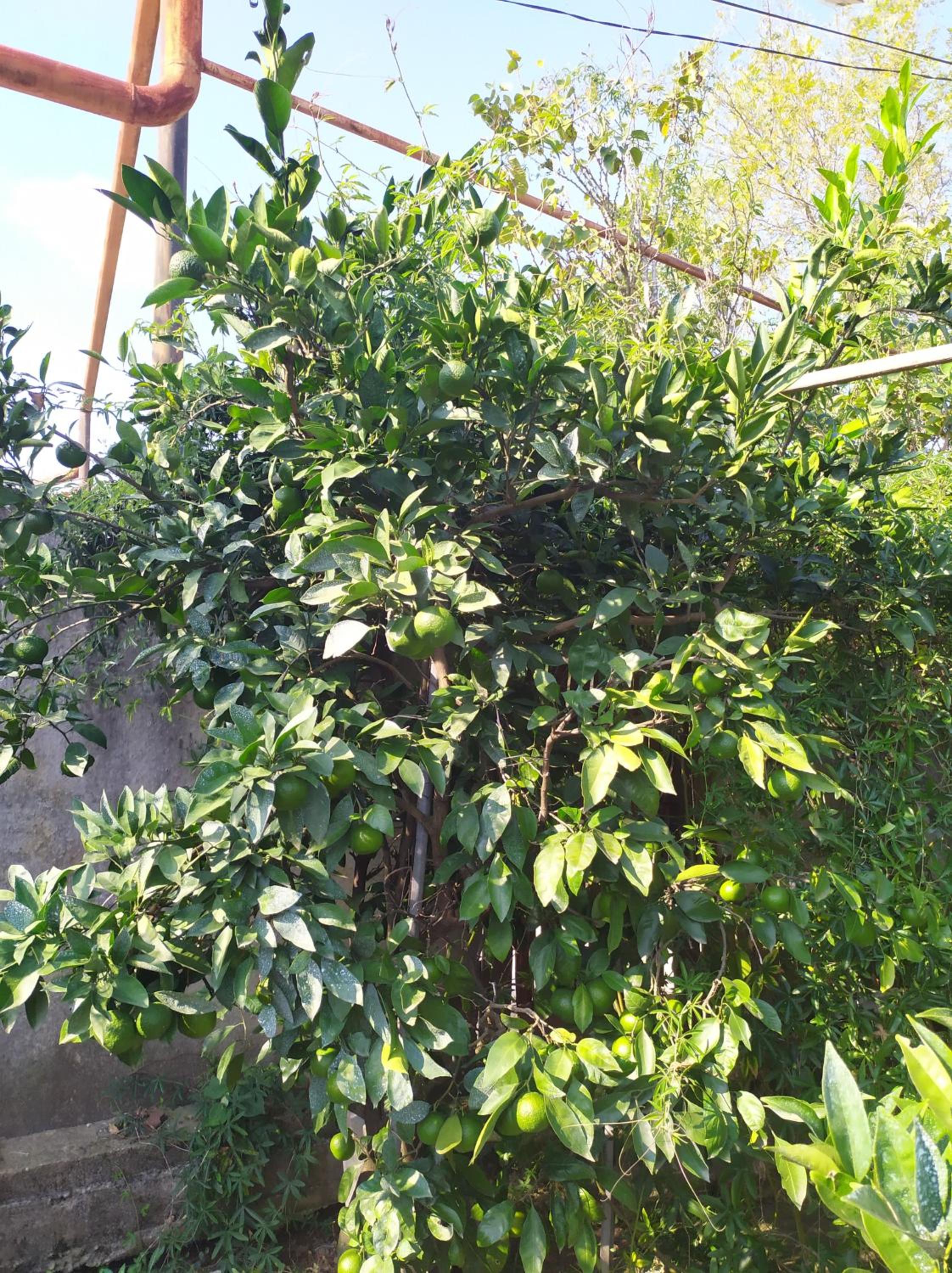 Photo 34