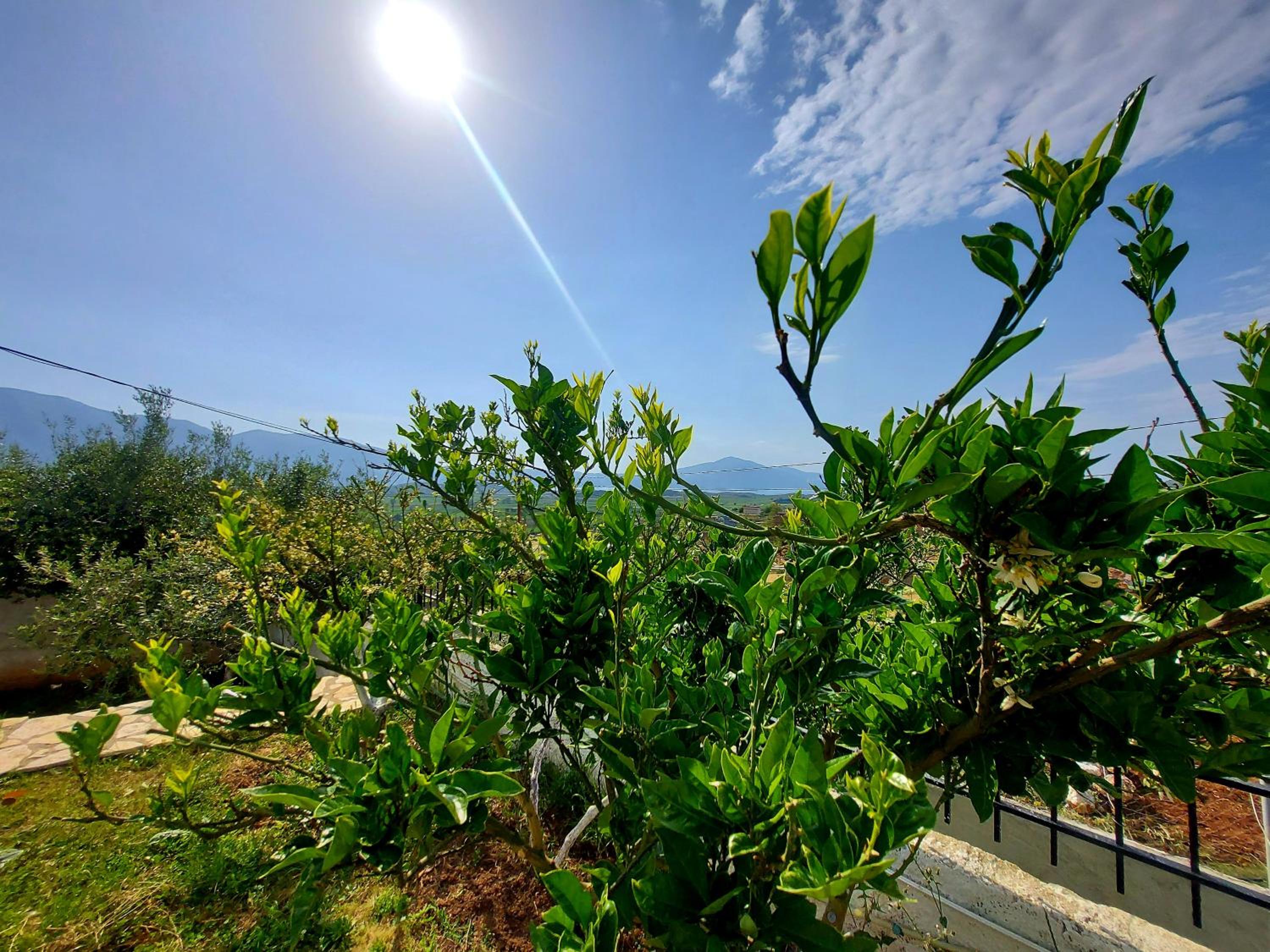 Vlore Casa Vacanze