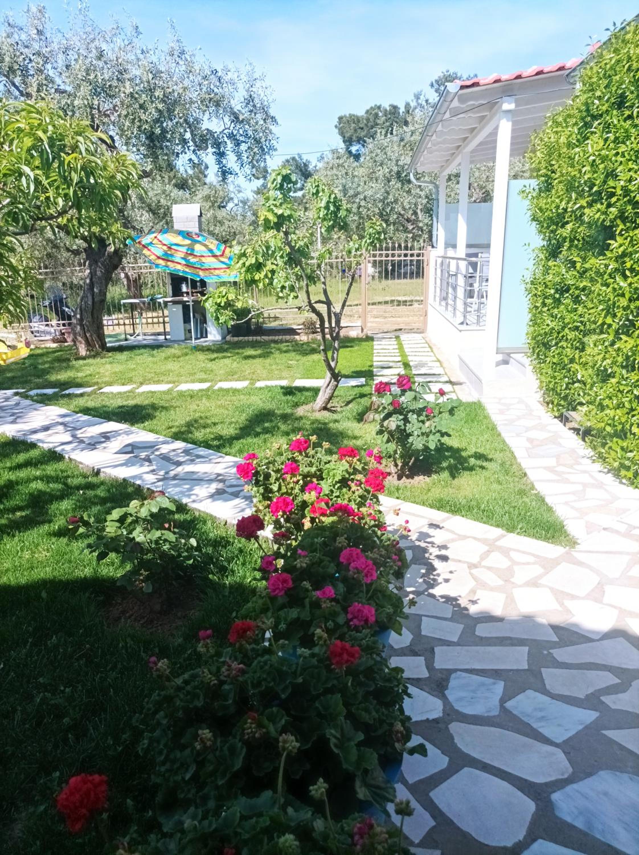 Photo 28