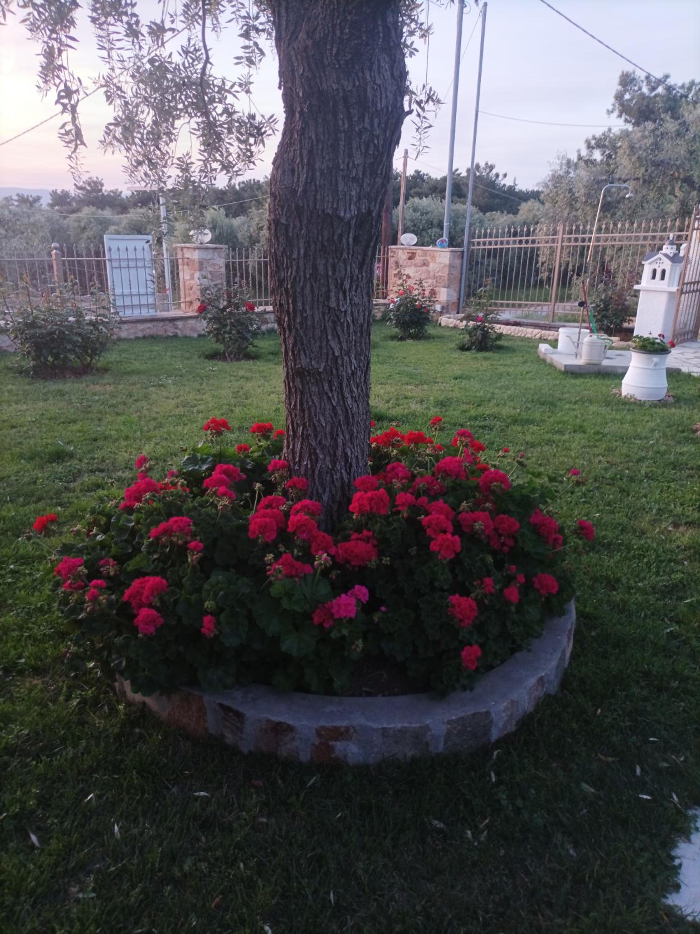 Photo 47