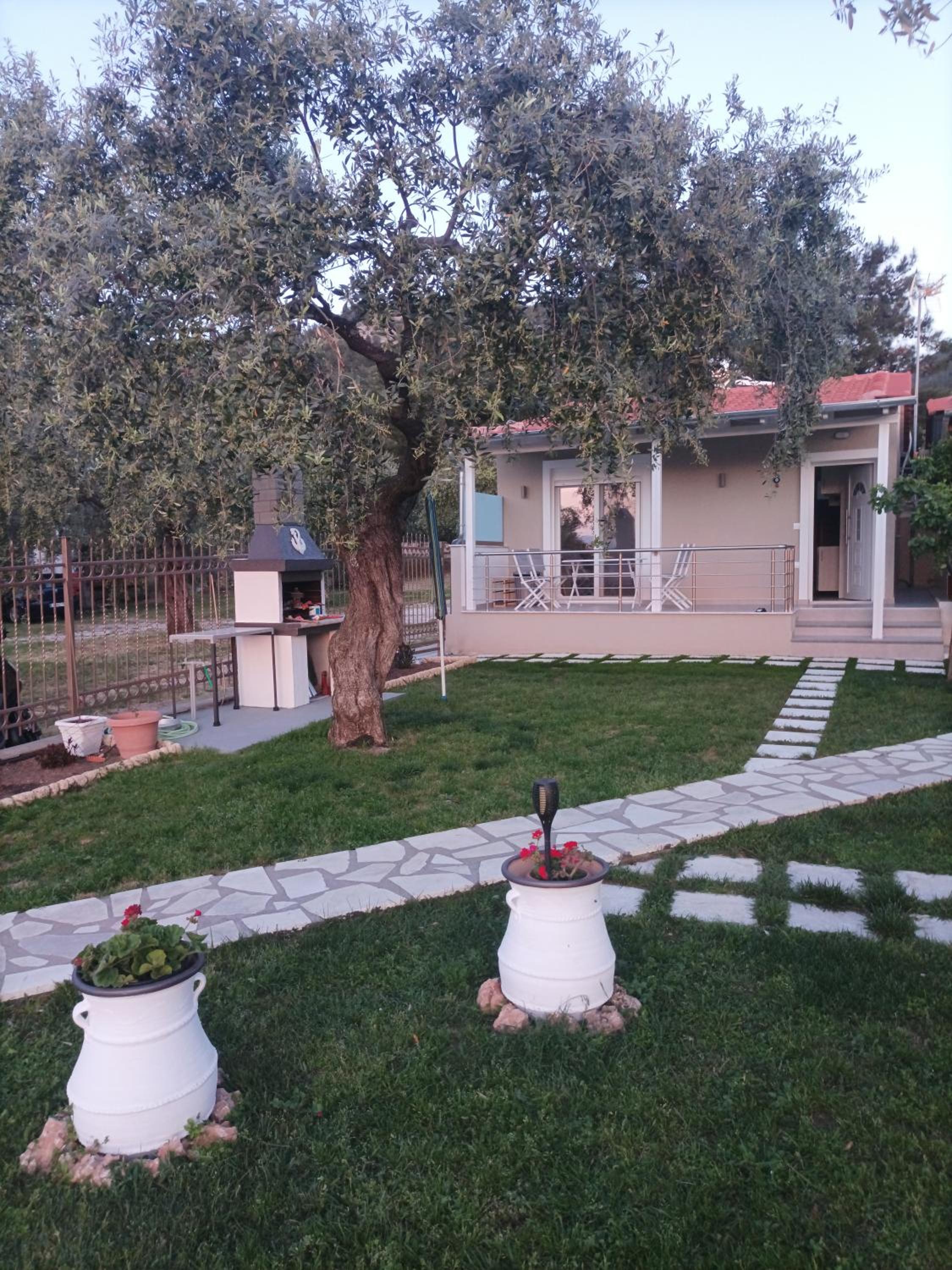 Photo 49