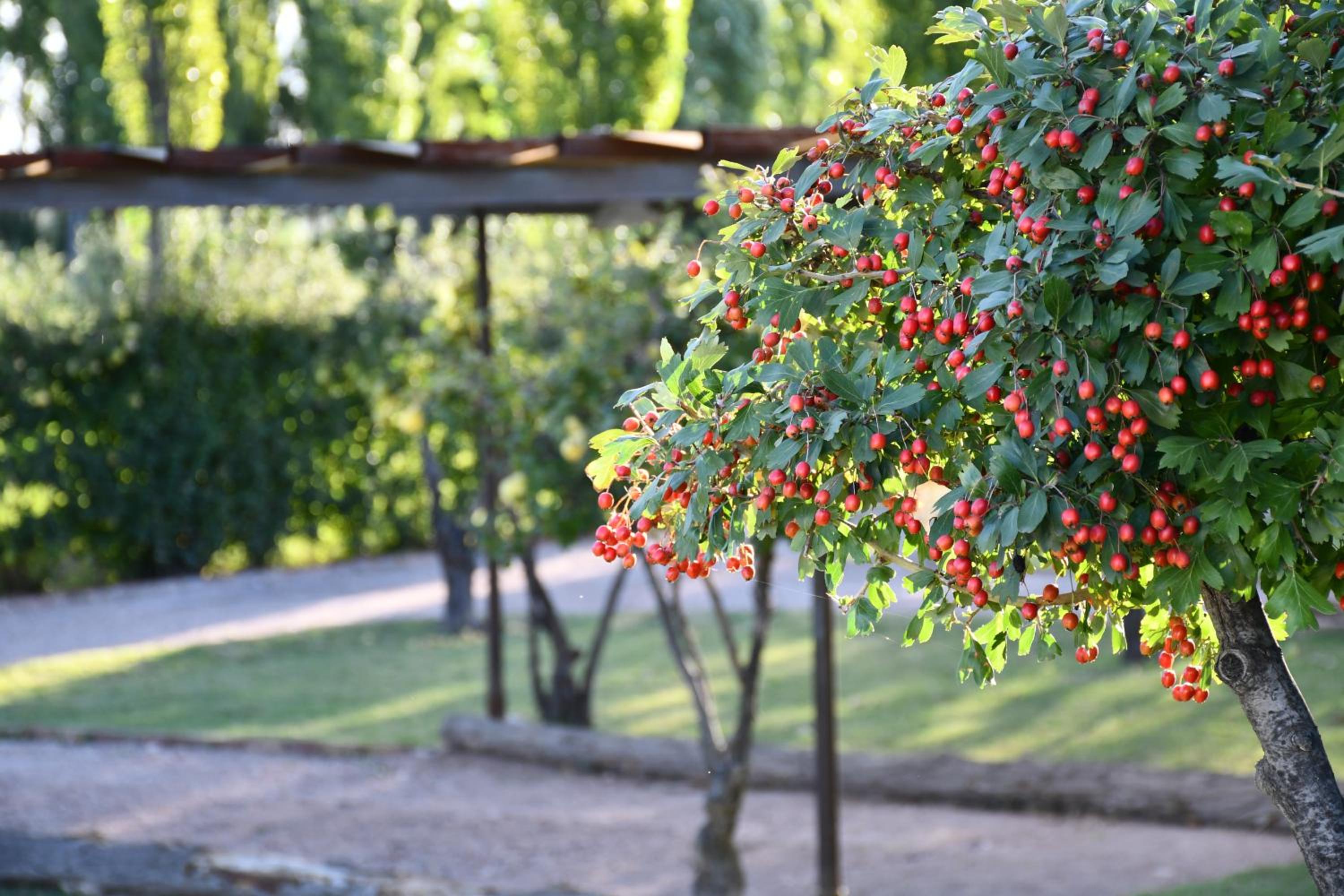 Finca La Escondida San Rafael
