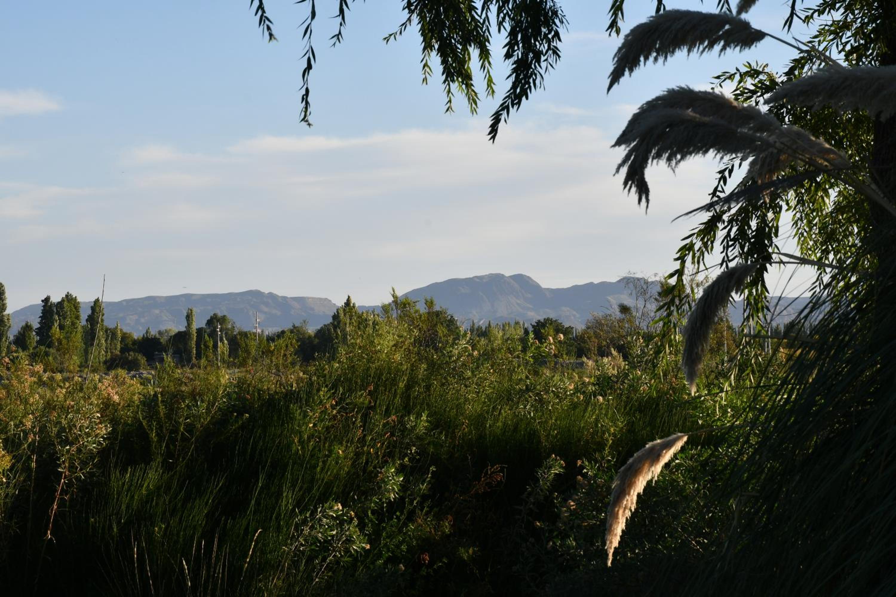 Finca La Escondida San Rafael