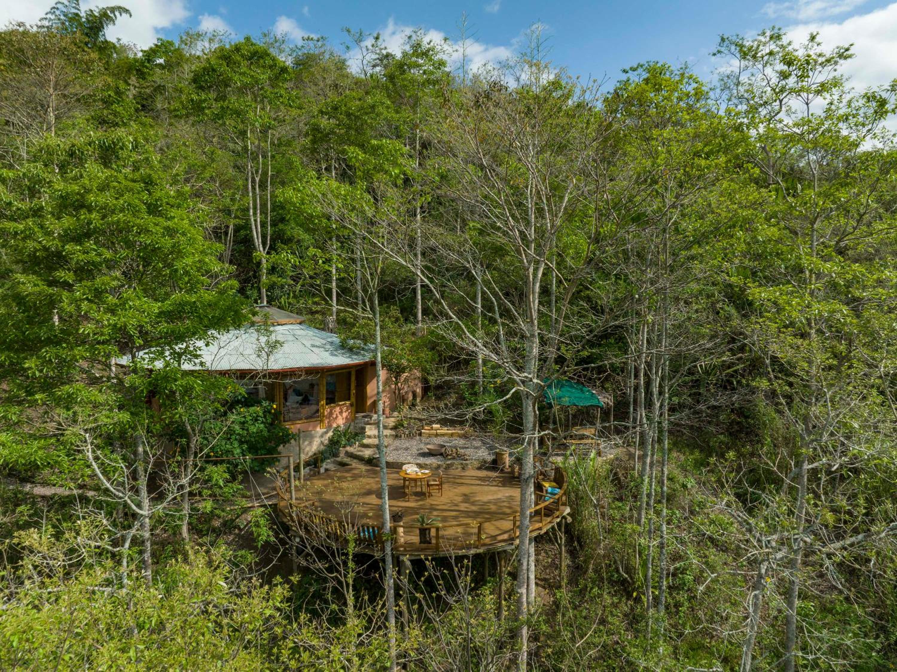 Photo 55