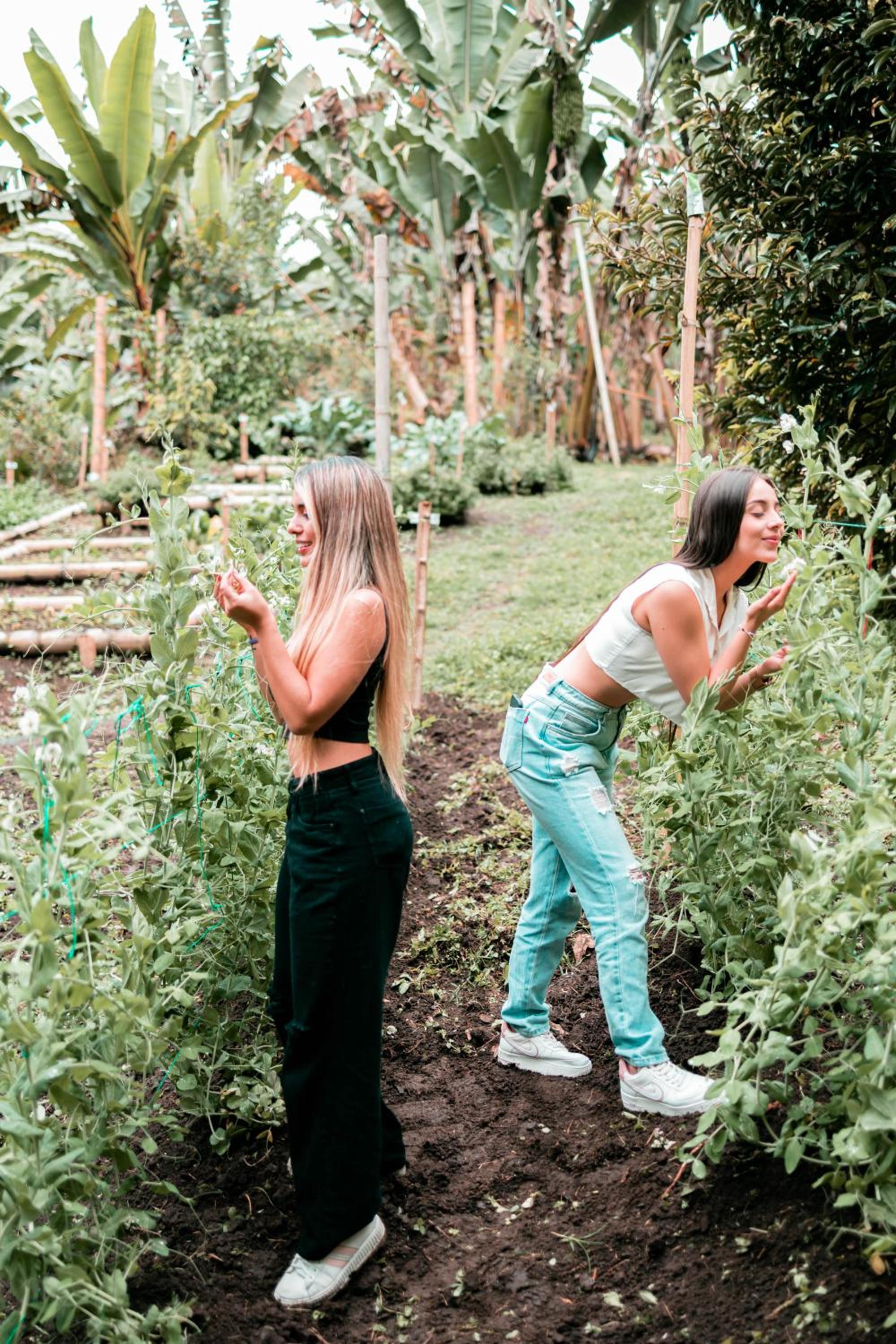 Chamí Glamping