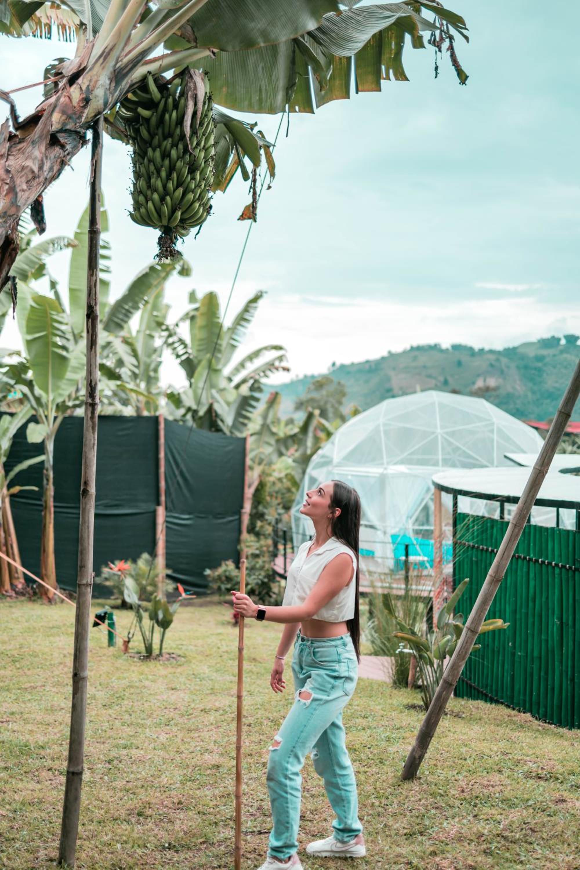 Chamí Glamping
