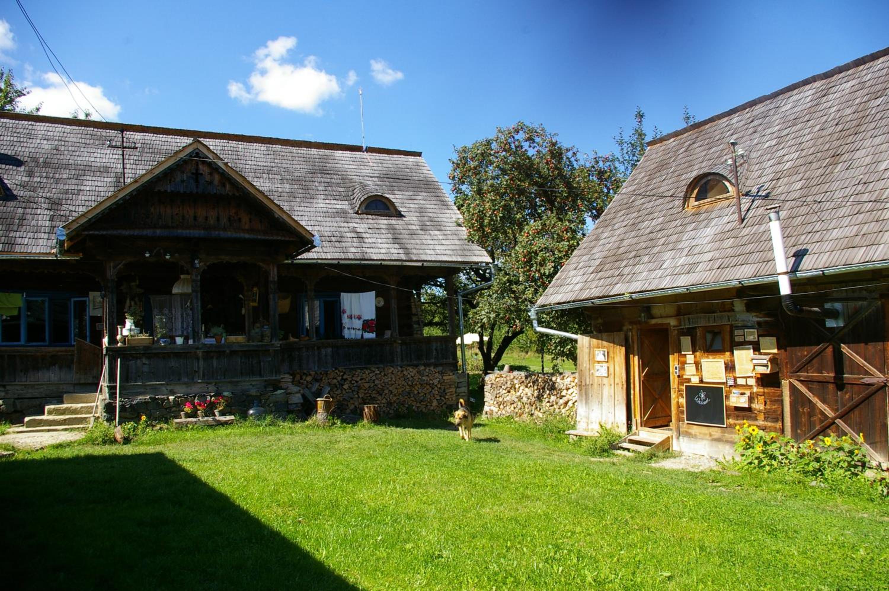 Photo 17