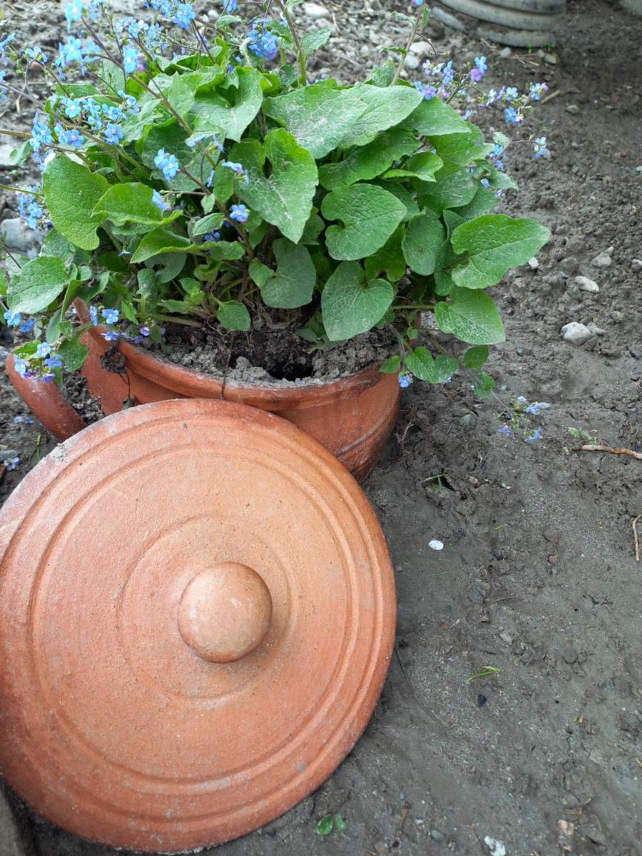 Photo 17