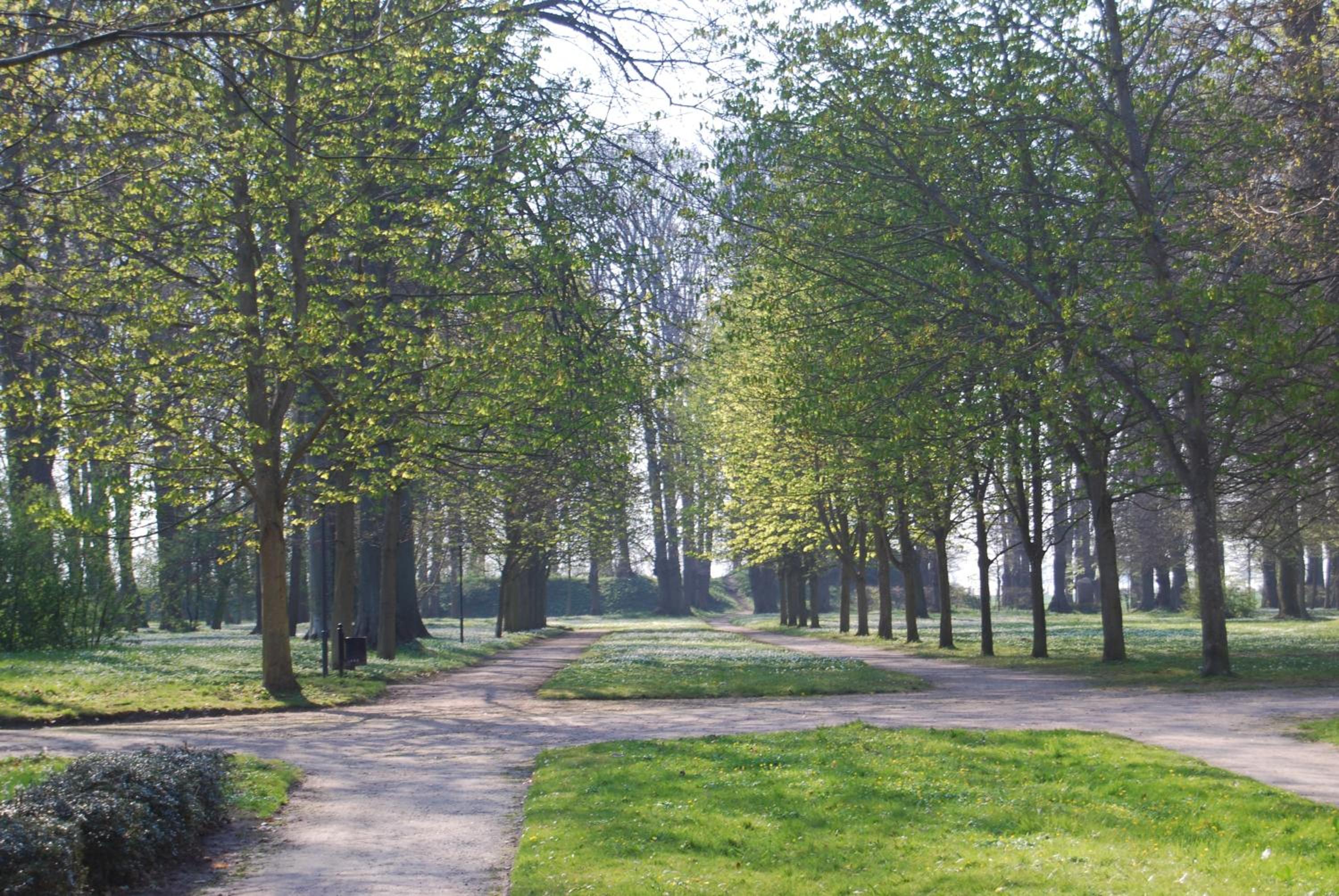 Kurparkcarree - Ferienwohnung "Amber" view 3