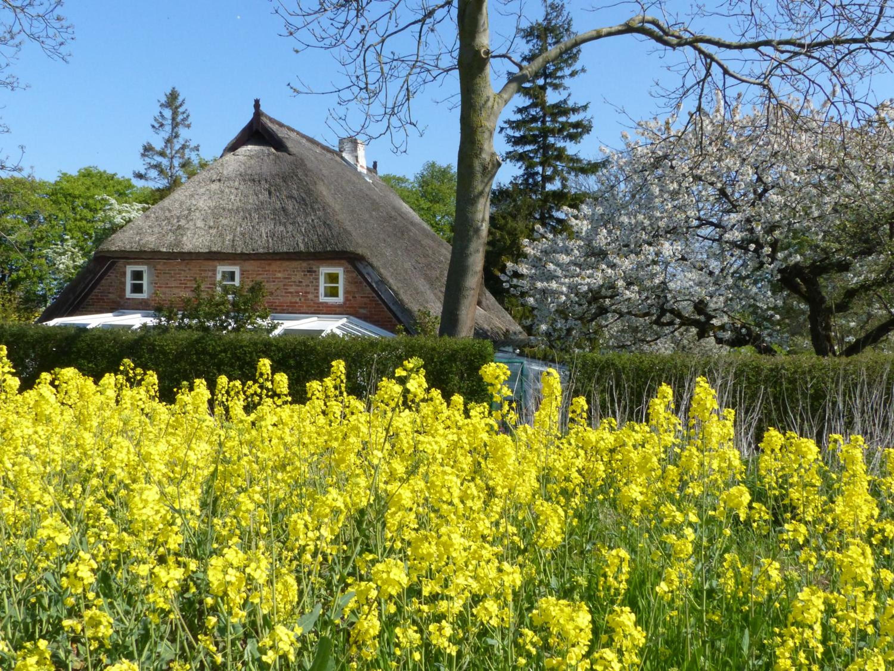 Ferienwohungen im Feriengarten DG view 2