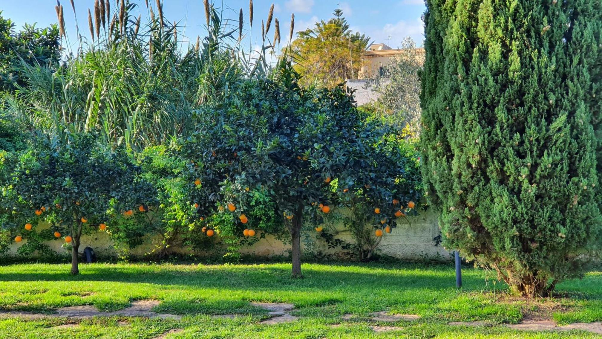 Villa Dammusello