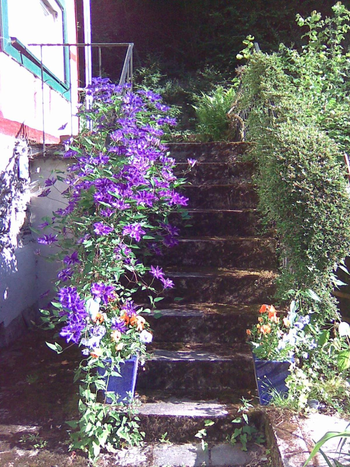 Ferienhaus Barbarasegen