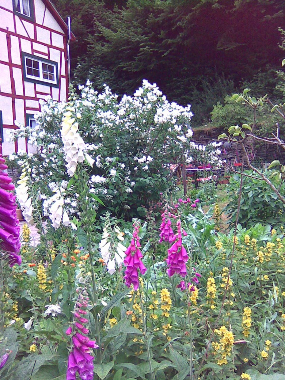 Ferienhaus Barbarasegen