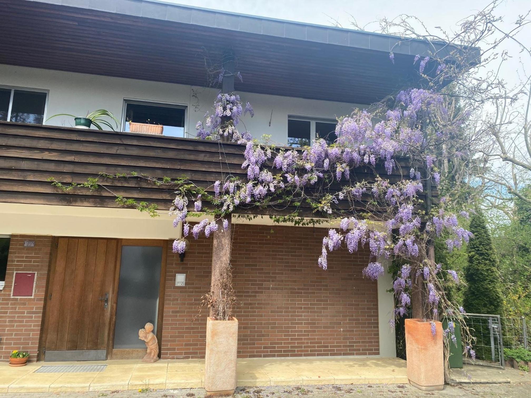 Apartments in Leafy Suburb view 4
