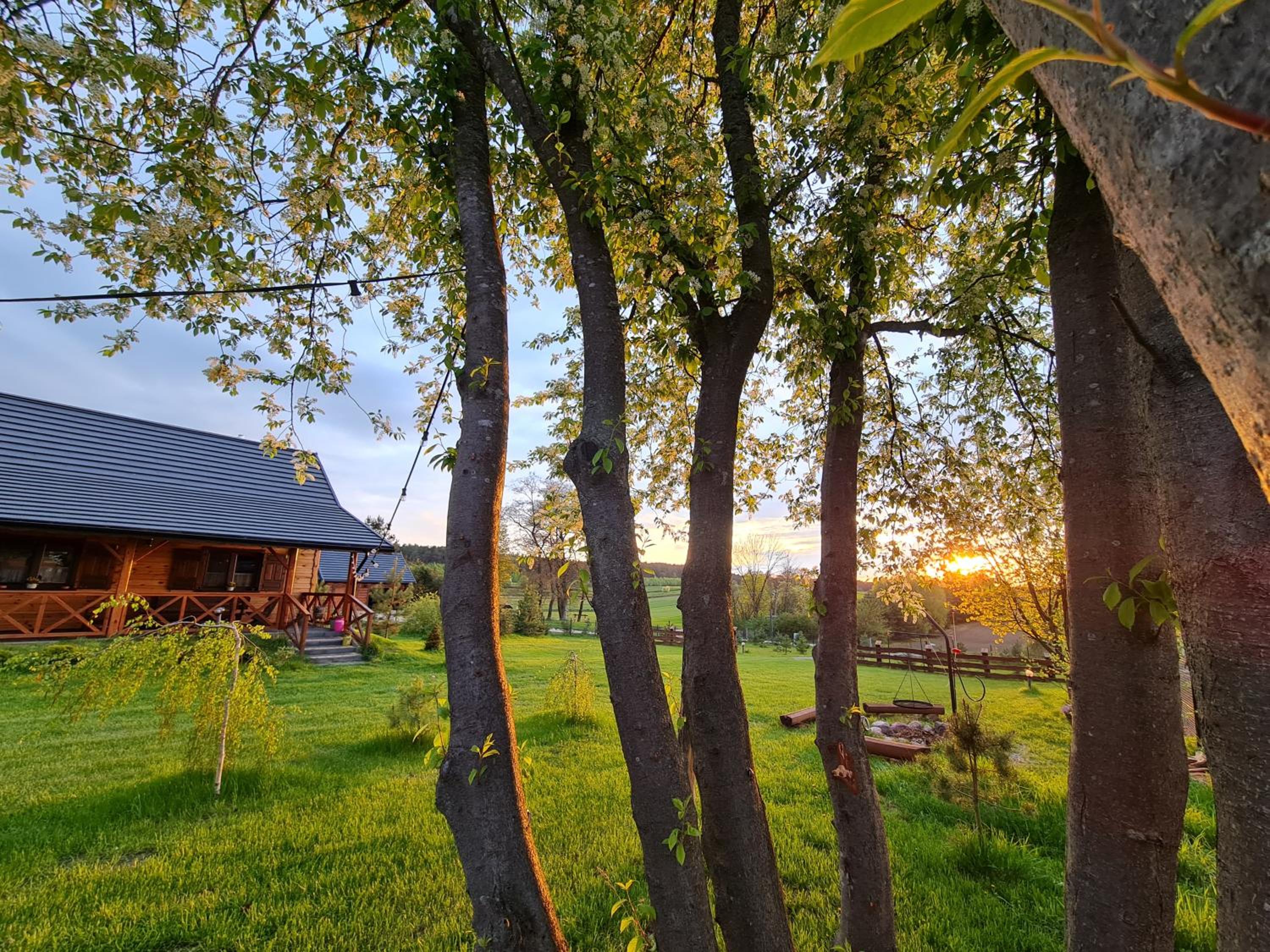 Siedlisko na Wzgórzu - Noclegi Agroturystyka - Borsuki view 2