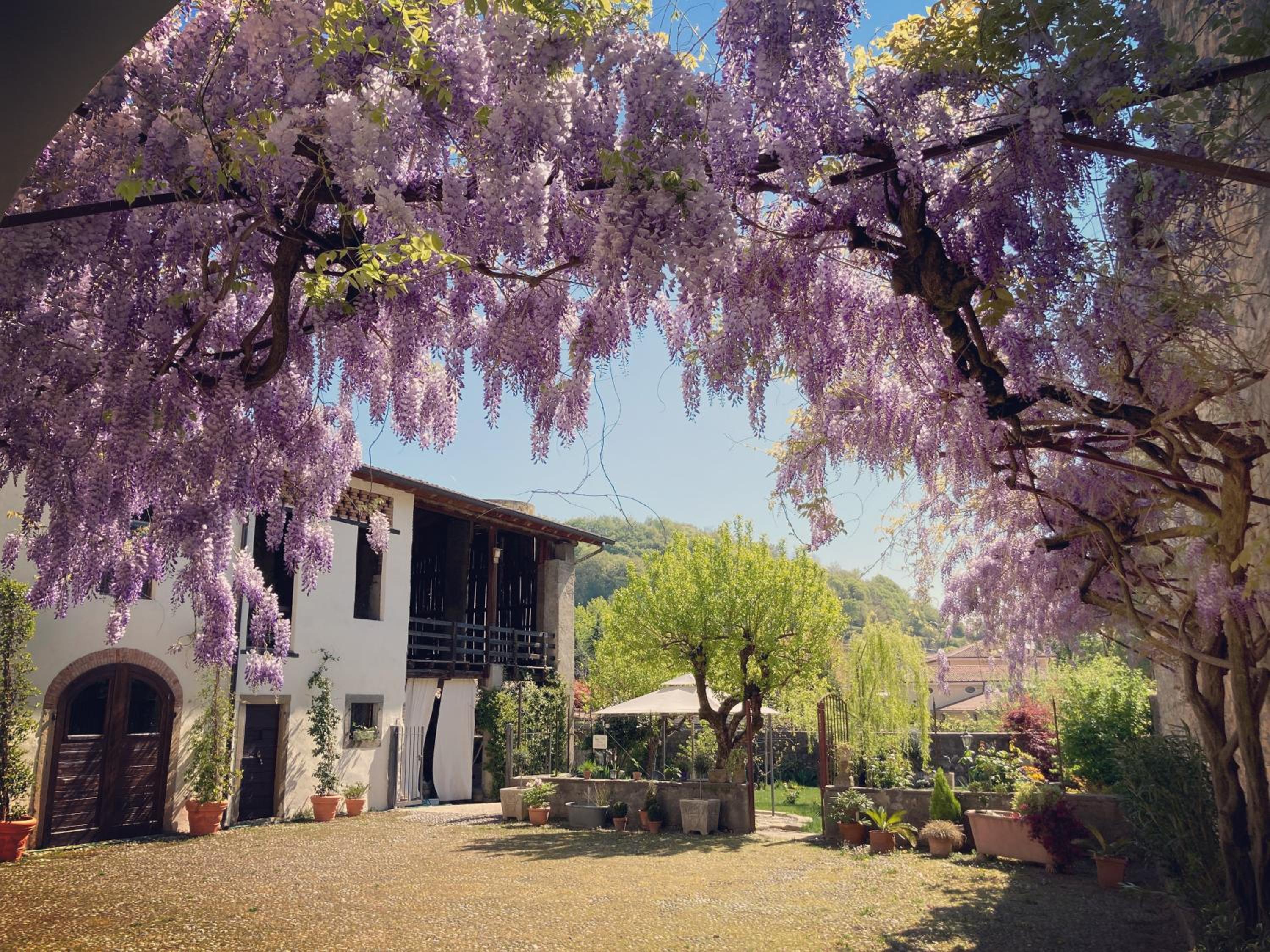 B&B Corte Seguini view 2