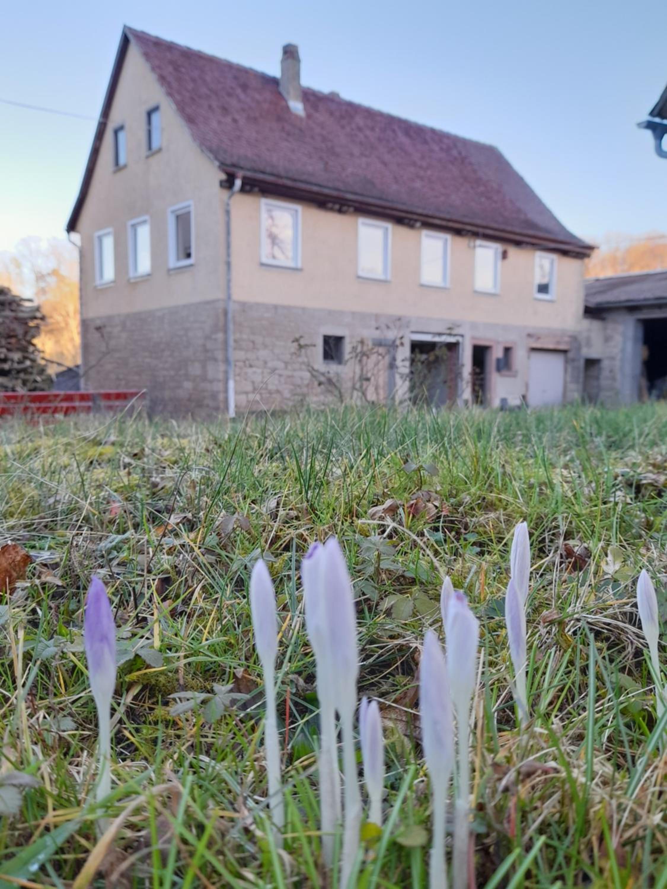 LAND-Hausle - Property Image 16