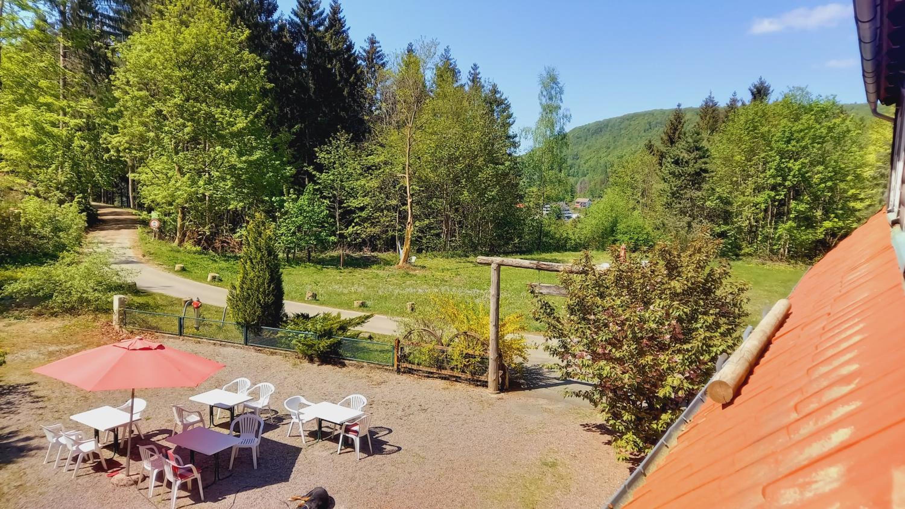 Waldpension Harzer Waldwinkel