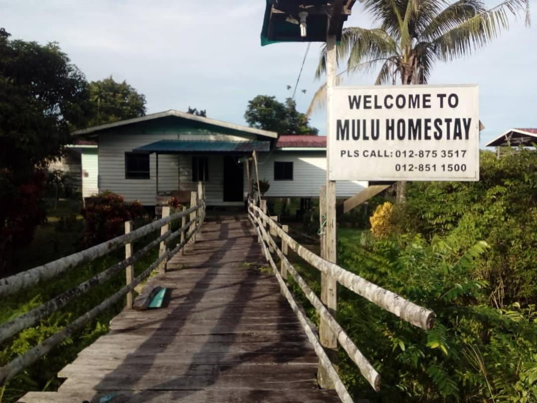 Mulu Homestay photo 1