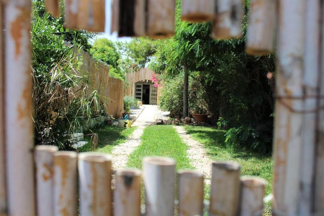 Dar Gitta & Wood El Haouaria