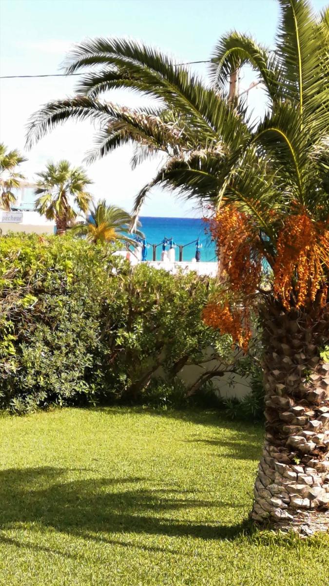 Dar Gitta & Wood El Haouaria