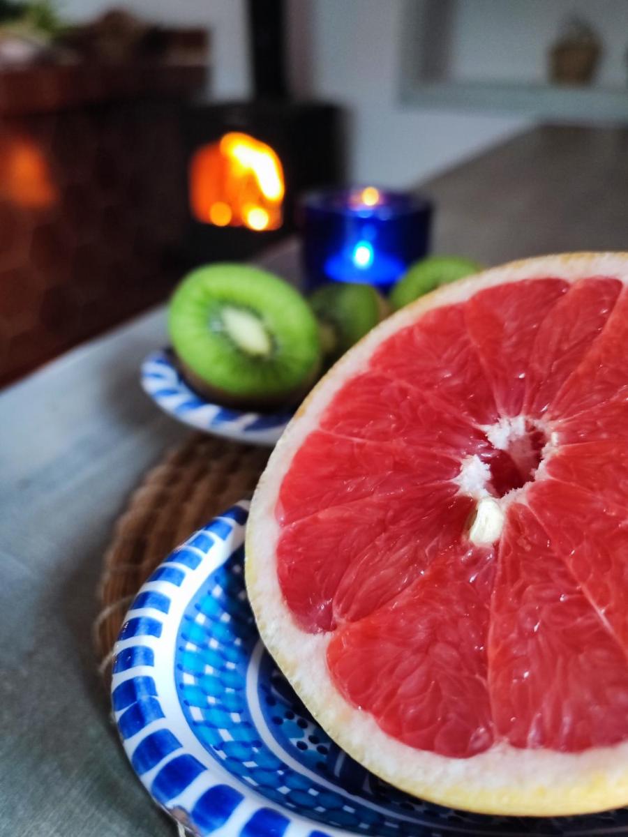 Dar Gitta & Wood El Haouaria