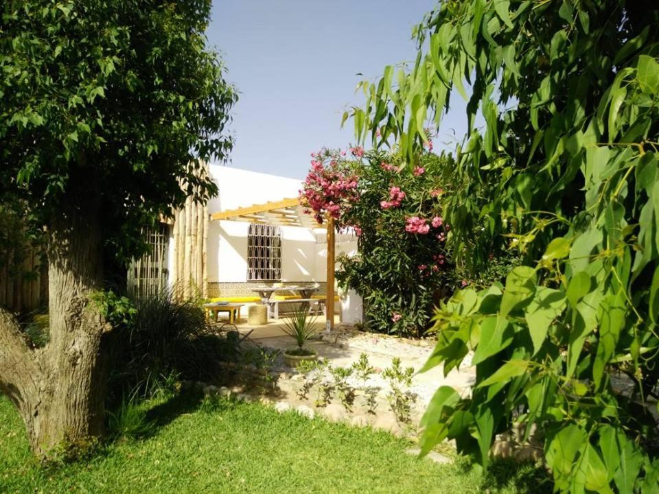 Dar Gitta & Wood El Haouaria