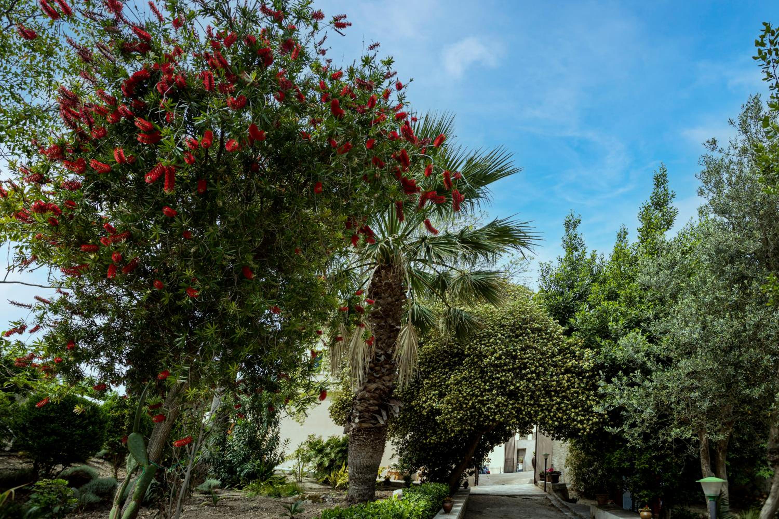 Villa Fontana