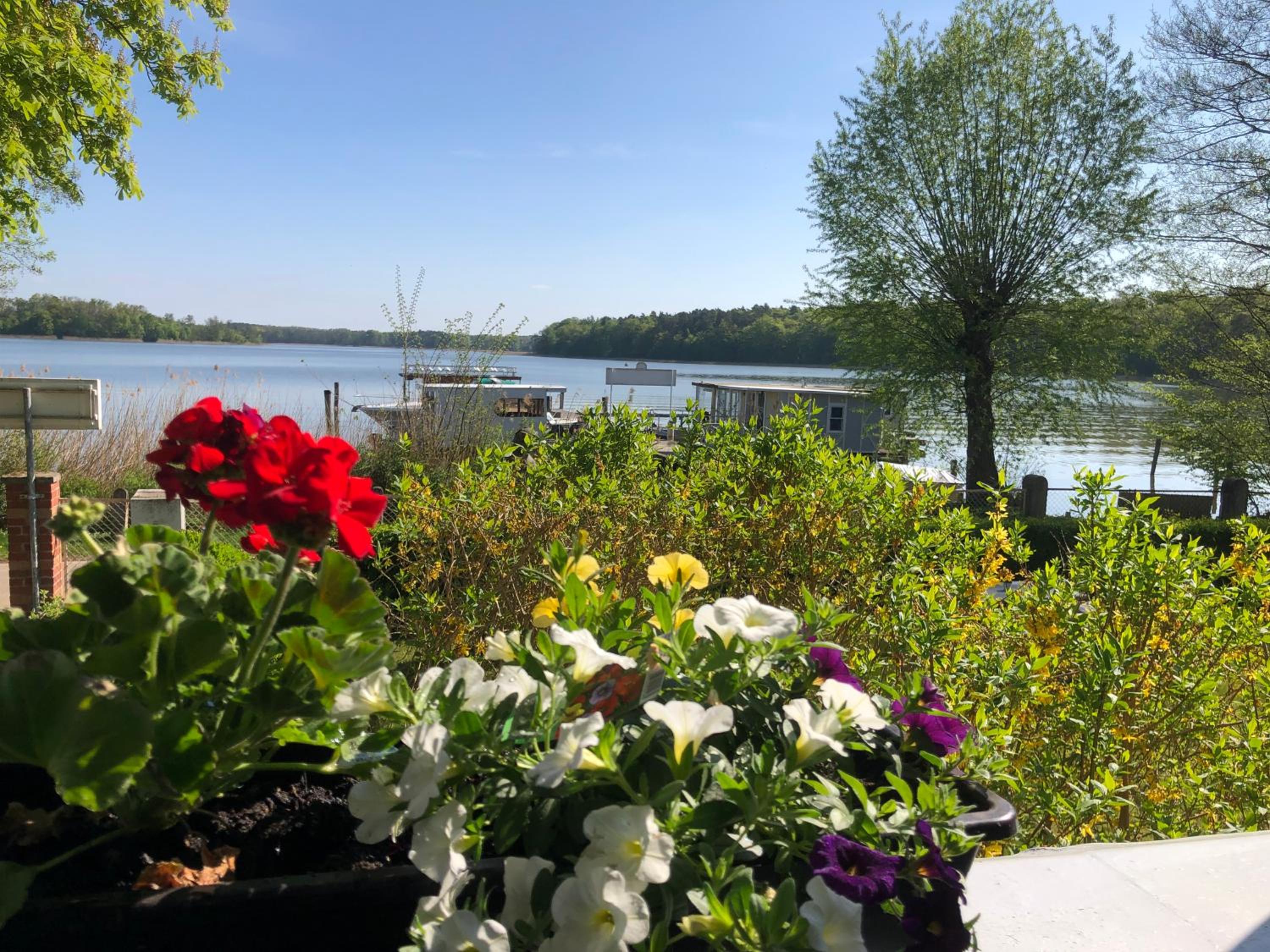 Gast- Logierhaus Am Rheinsberger See - Property Image 10