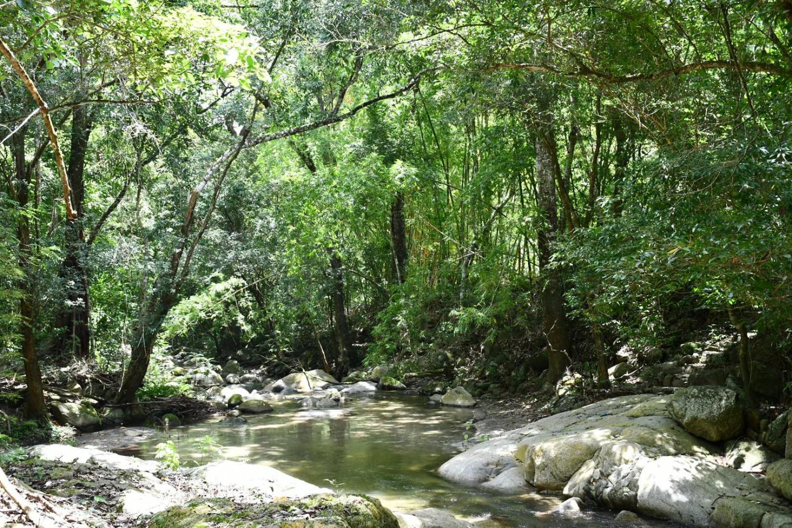 Reserva Biologica Caoba