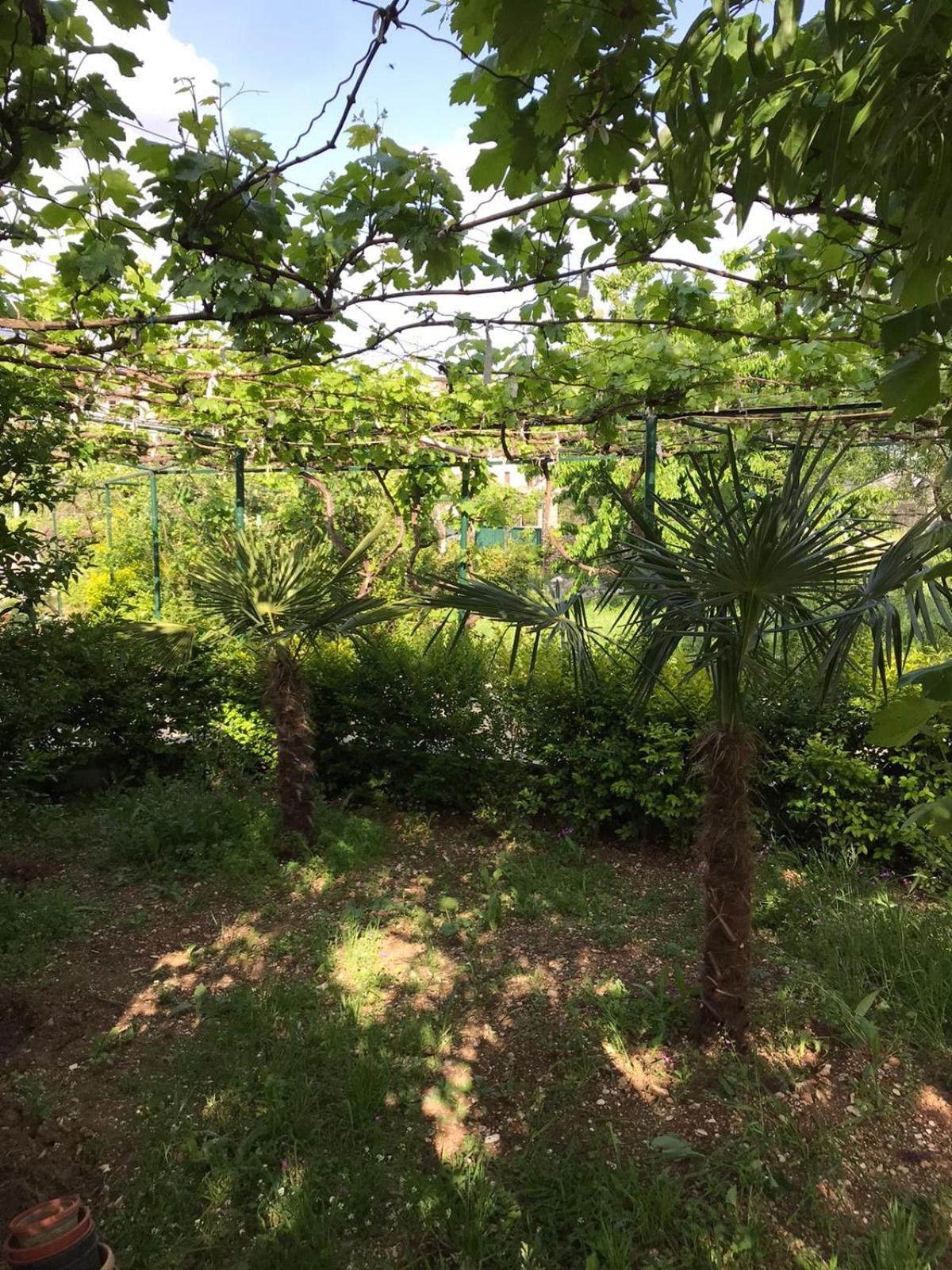 Kasaj Villa