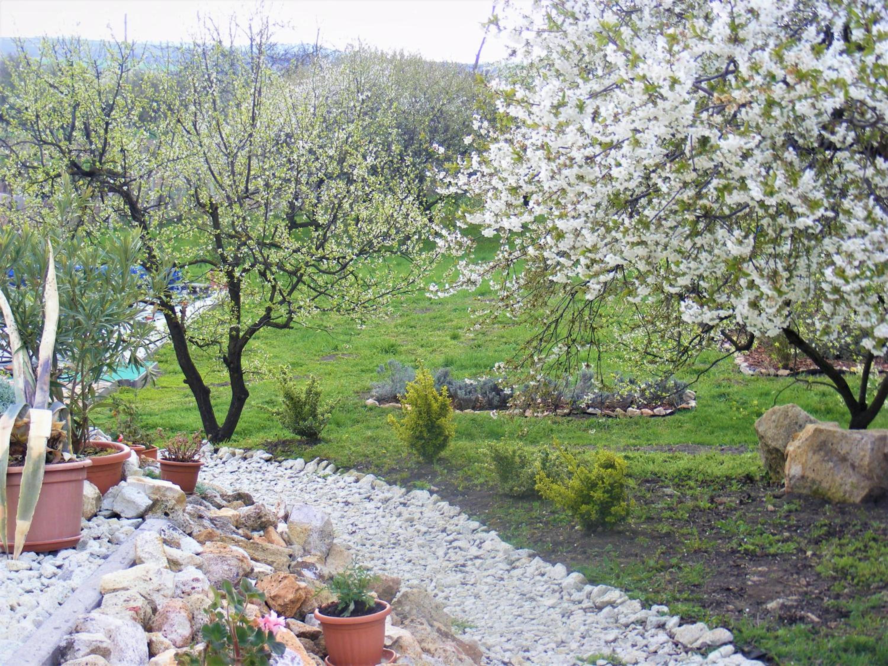 Photo 45