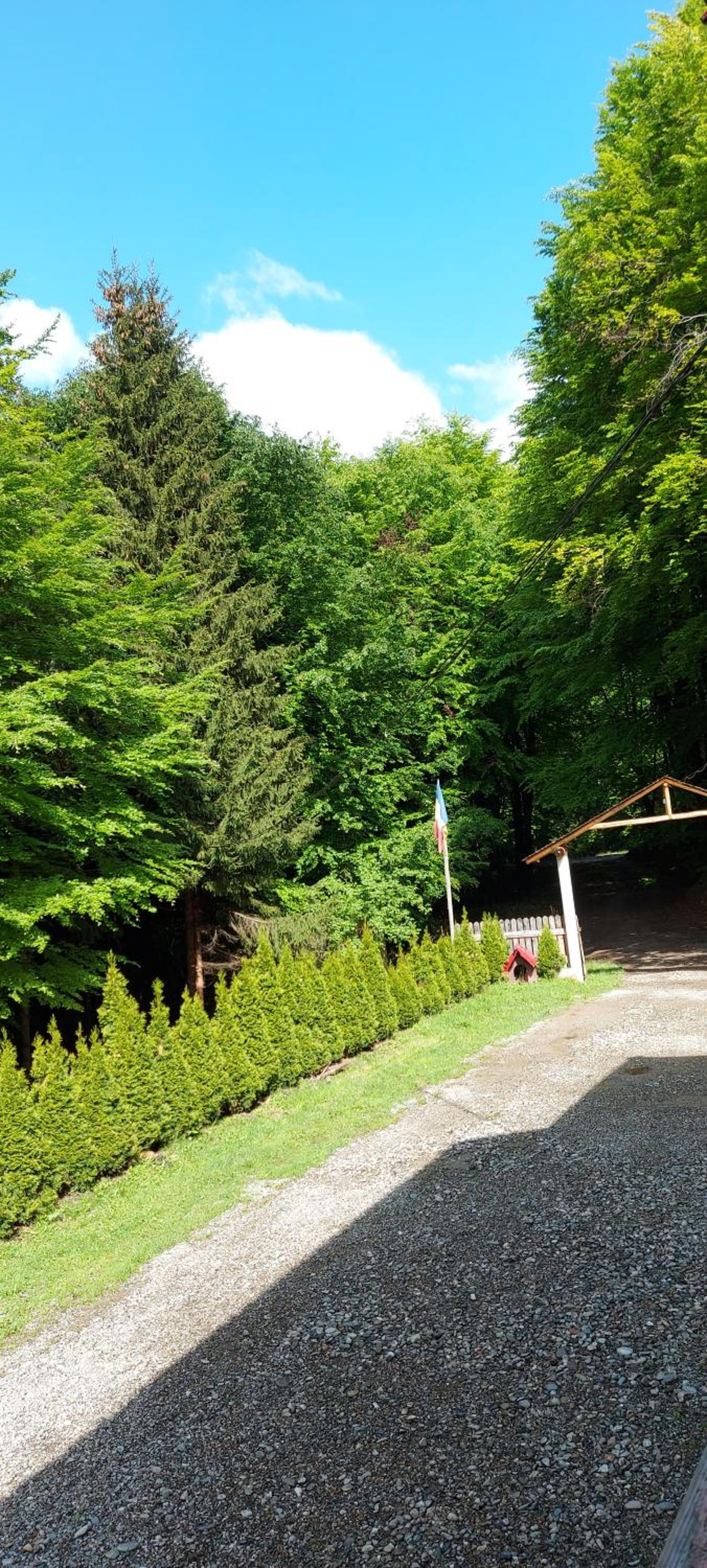 Cabana Valea Bradului view 2
