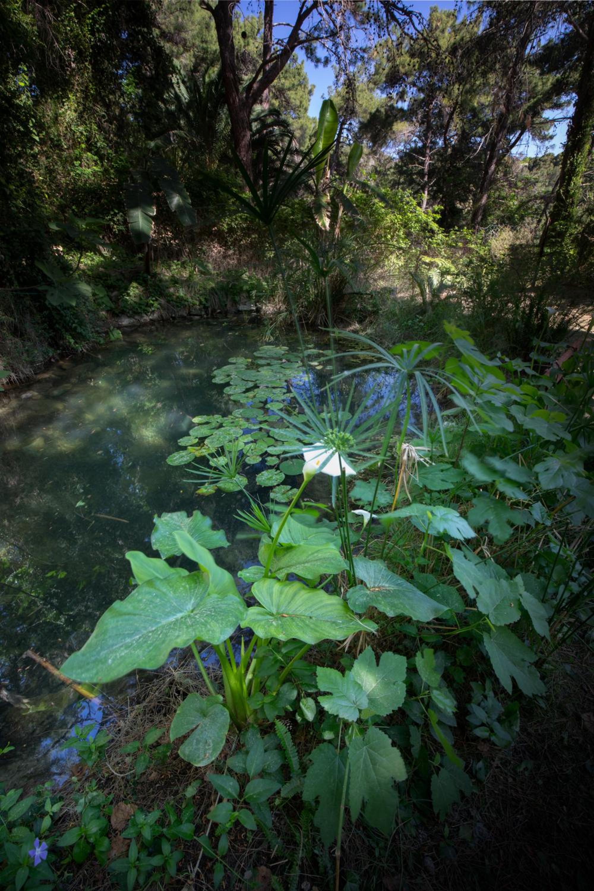 Villa René en Koskinou