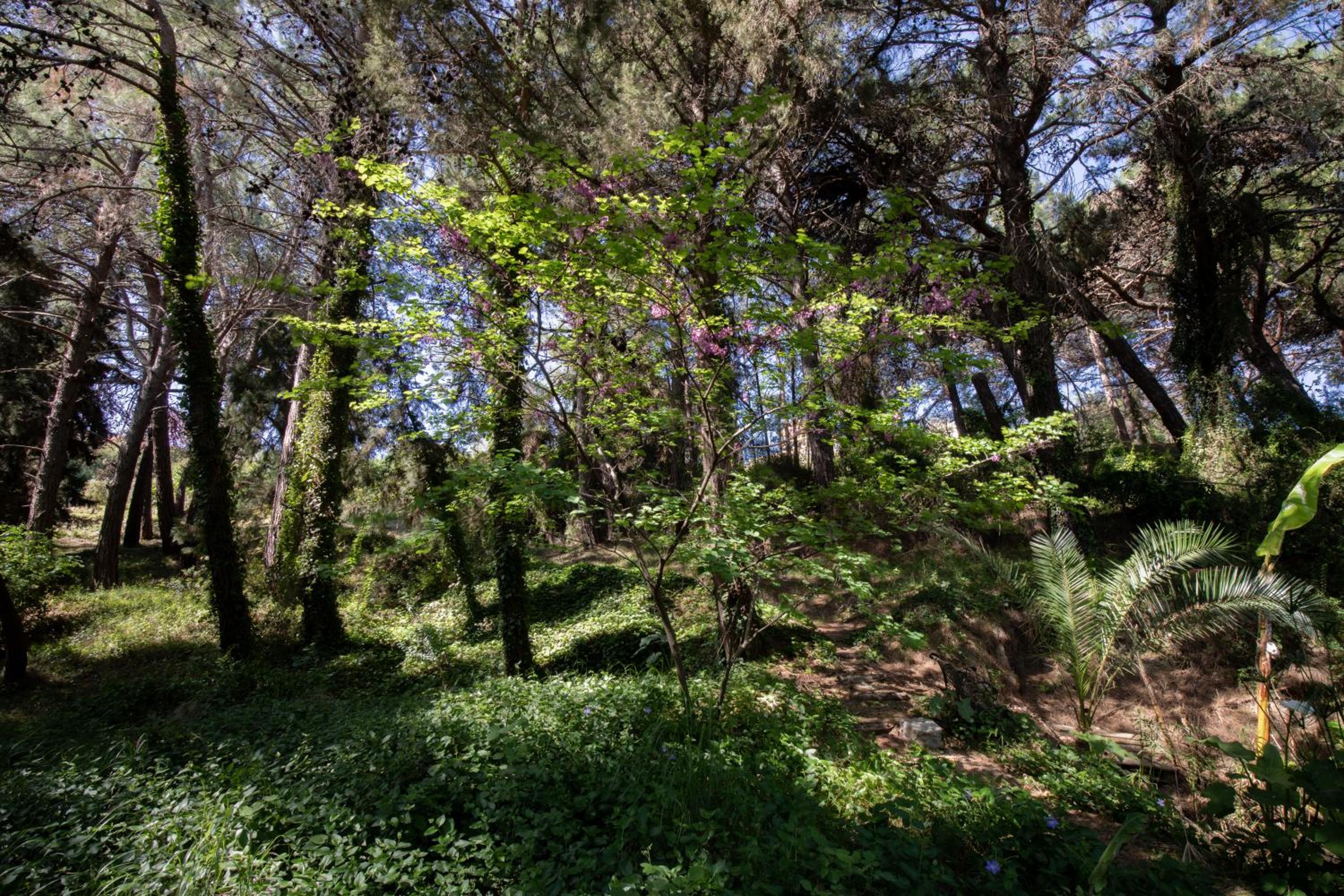 Photo 28