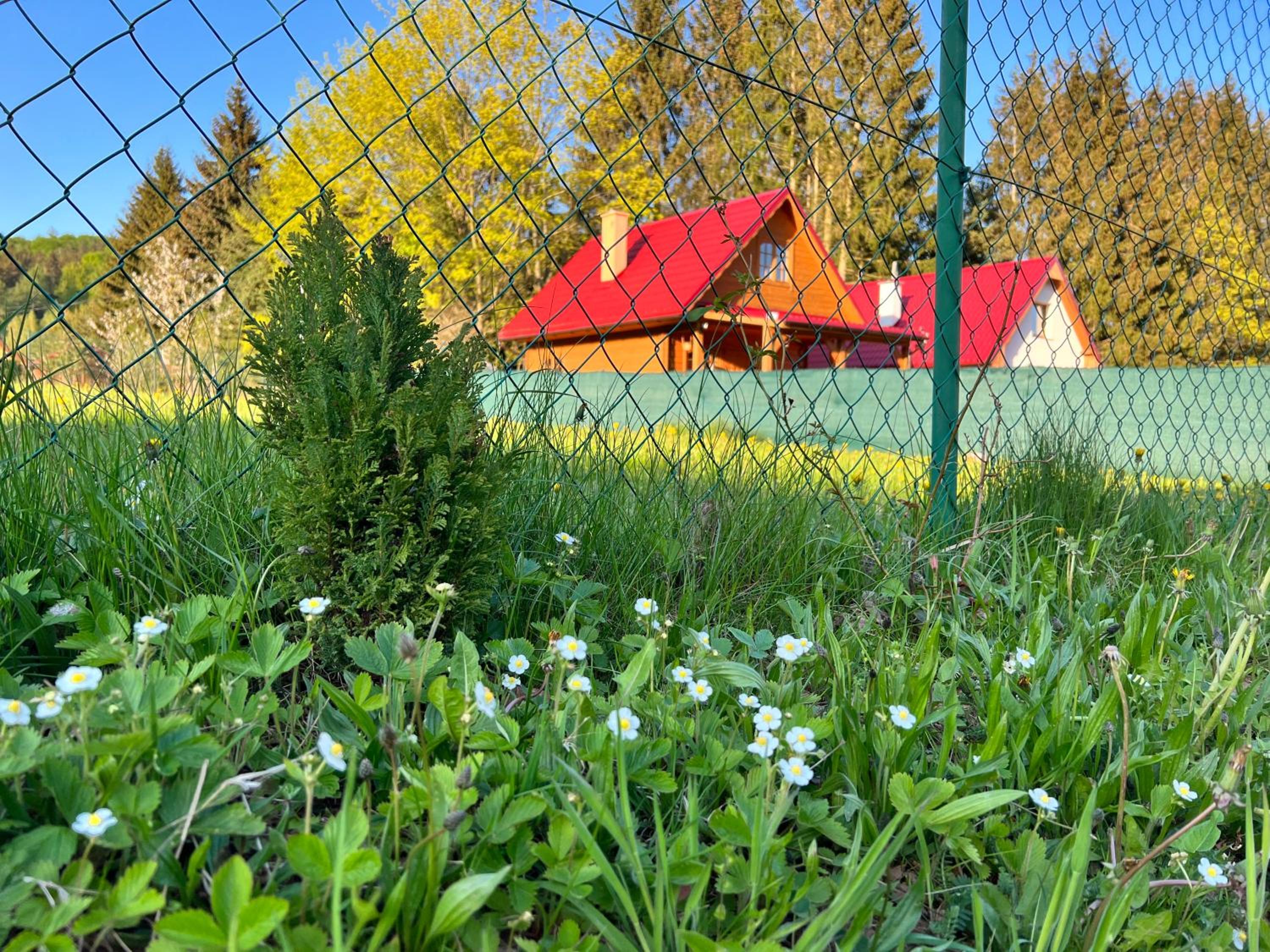 Photo 14
