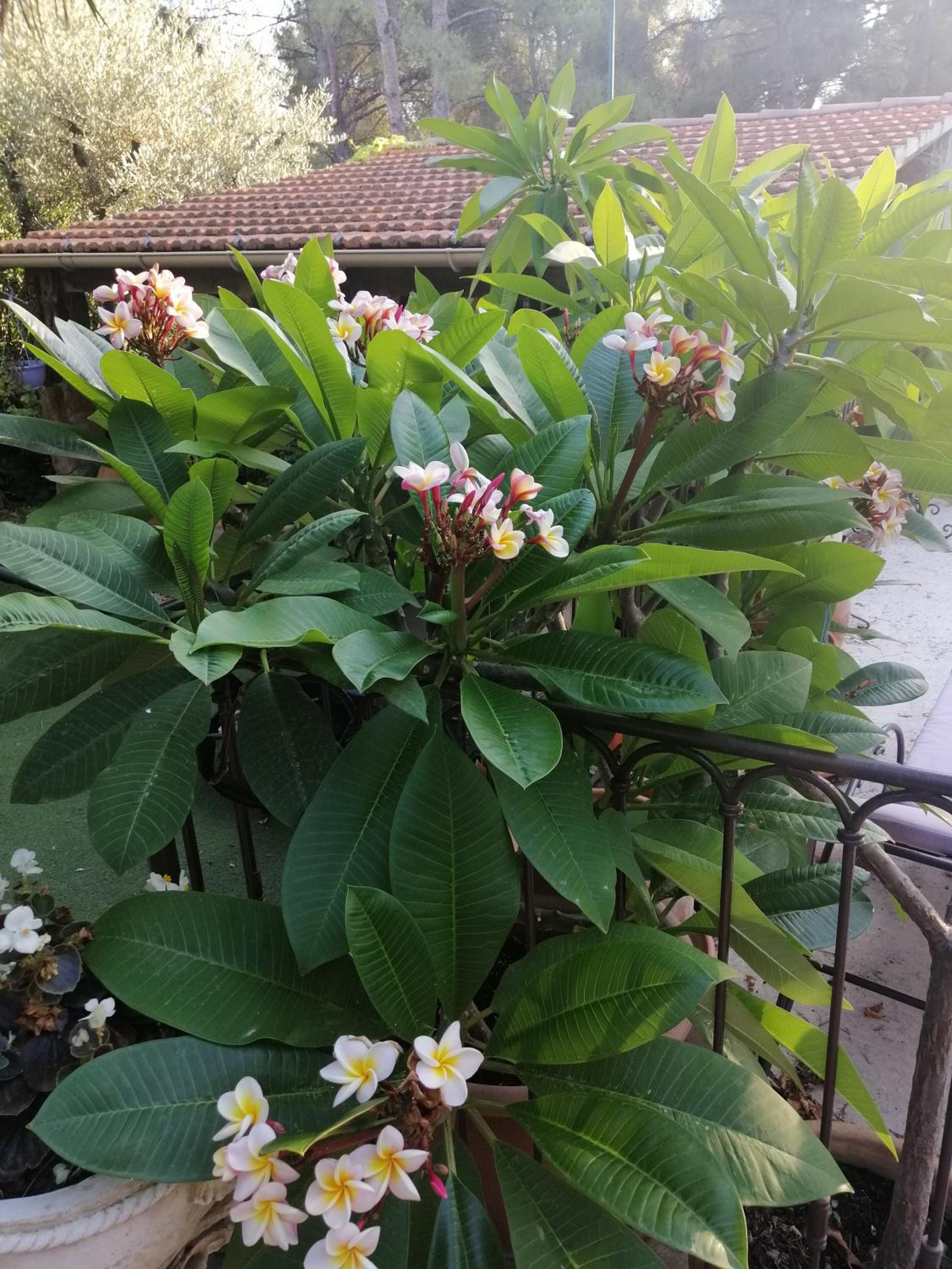 Photo 43