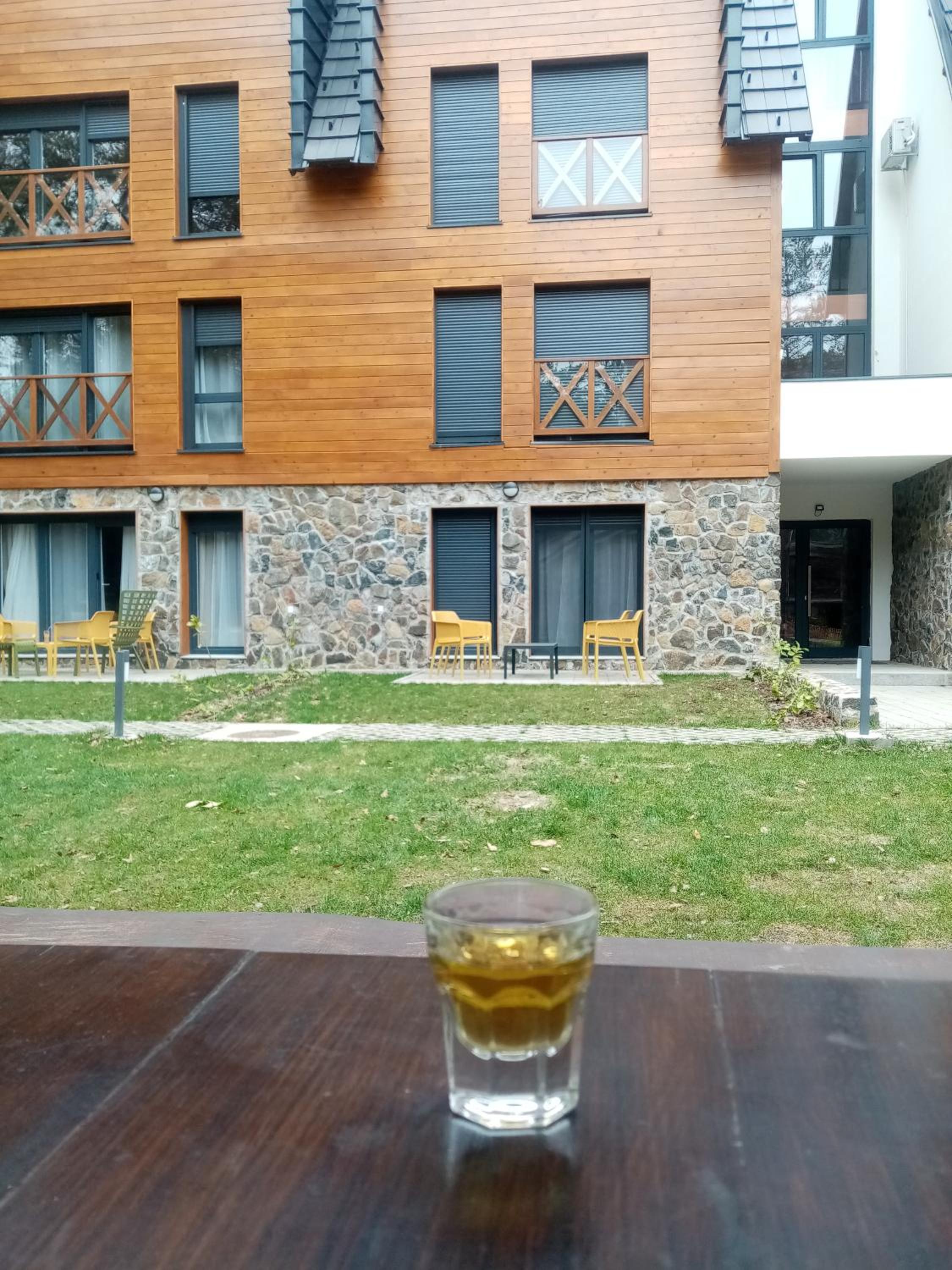 Apartman Pahuljica Divčigora view 4