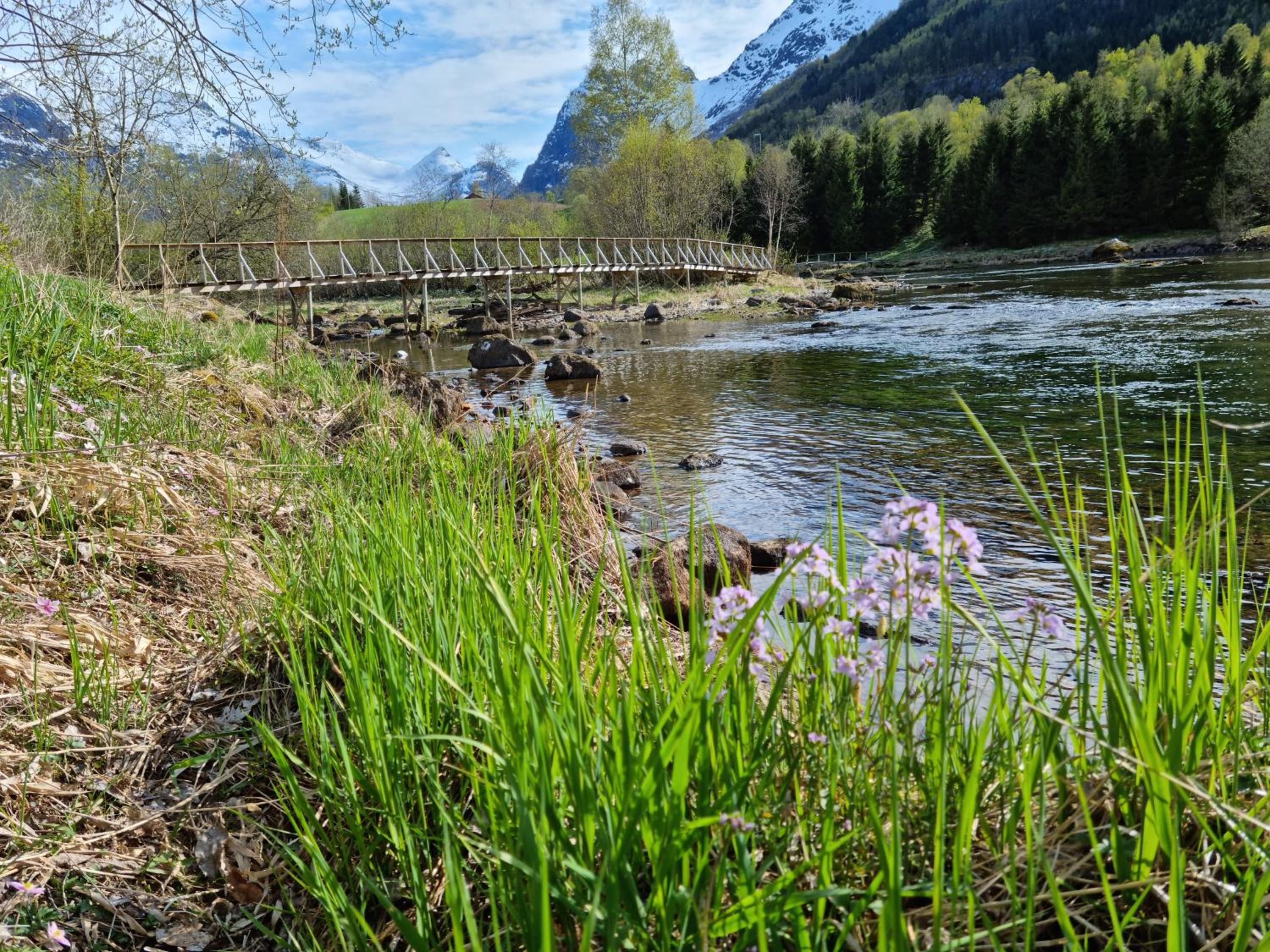 Photo 20