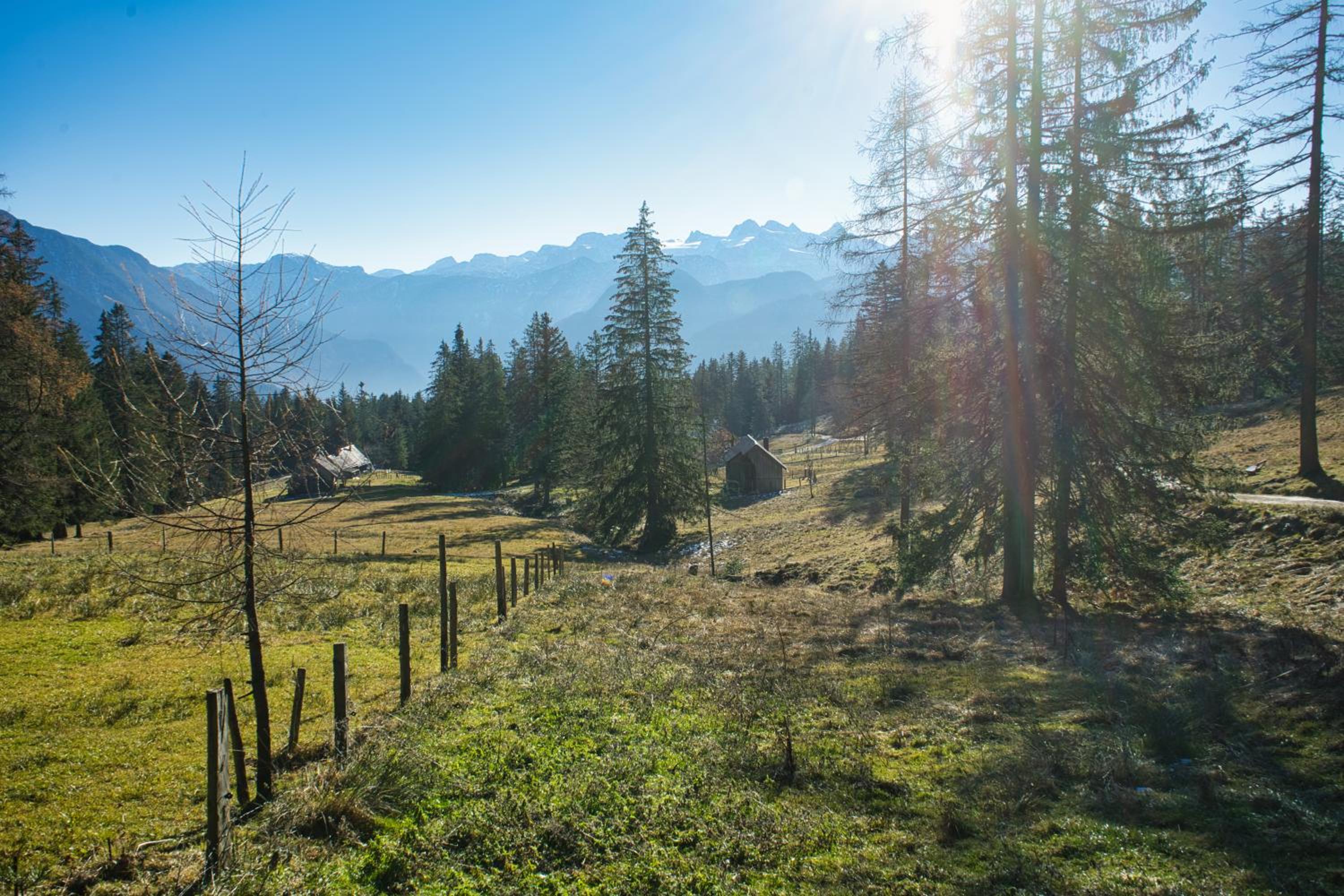 Ferienwohnung Stoablick - barrierefrei mit Bergblick