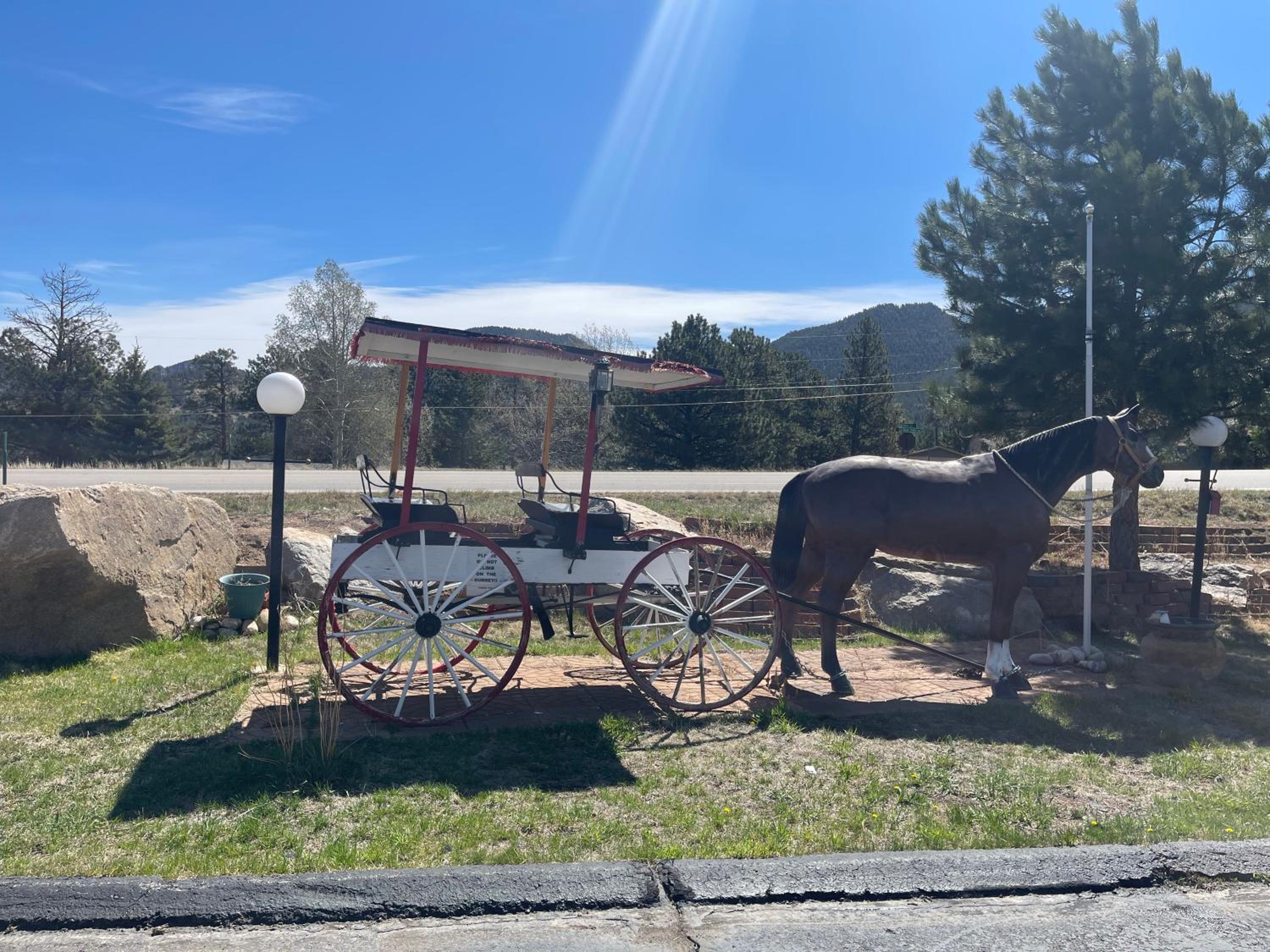 Saddle & Surrey Motel