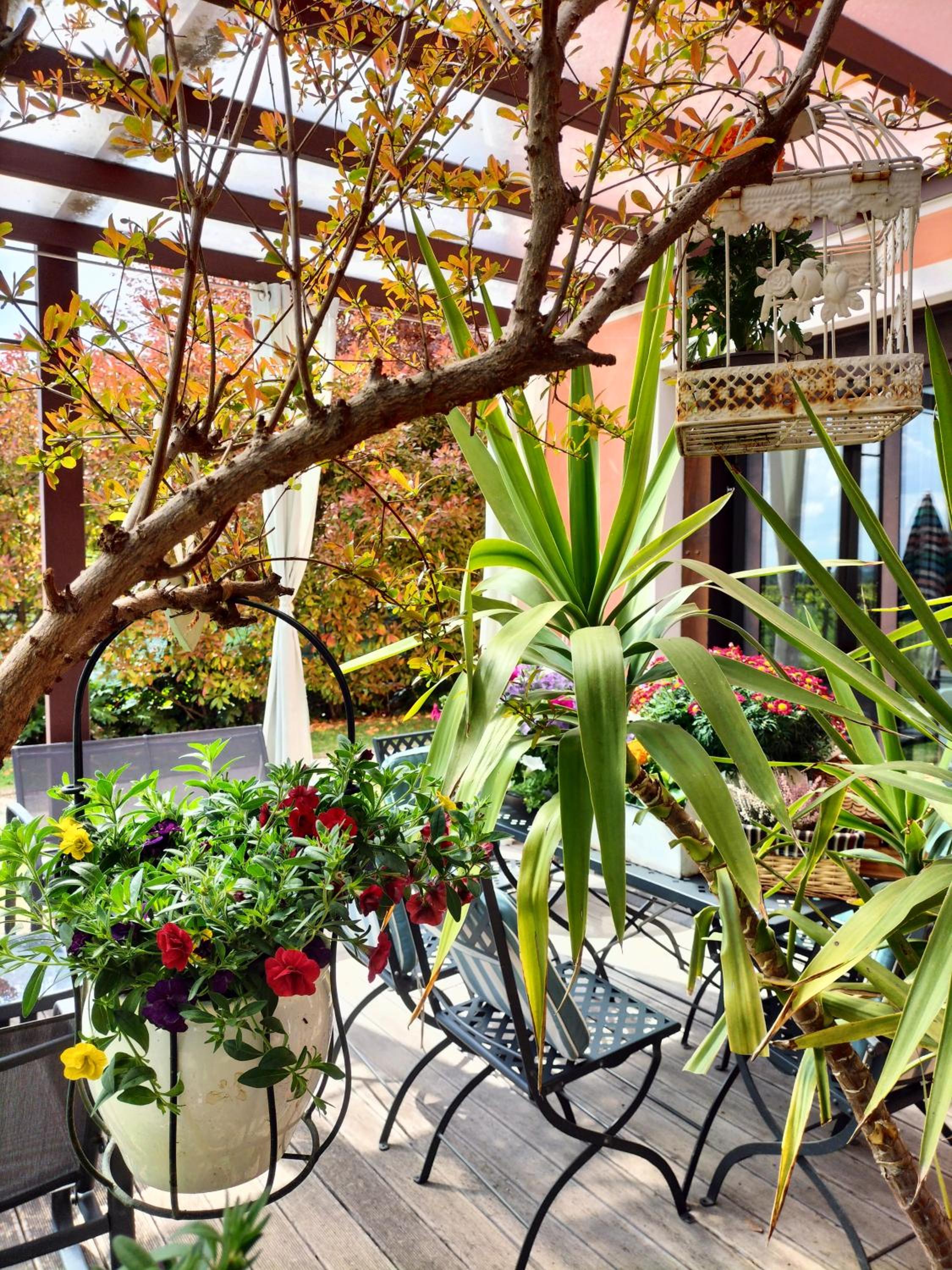 B&B Terre Di Bea