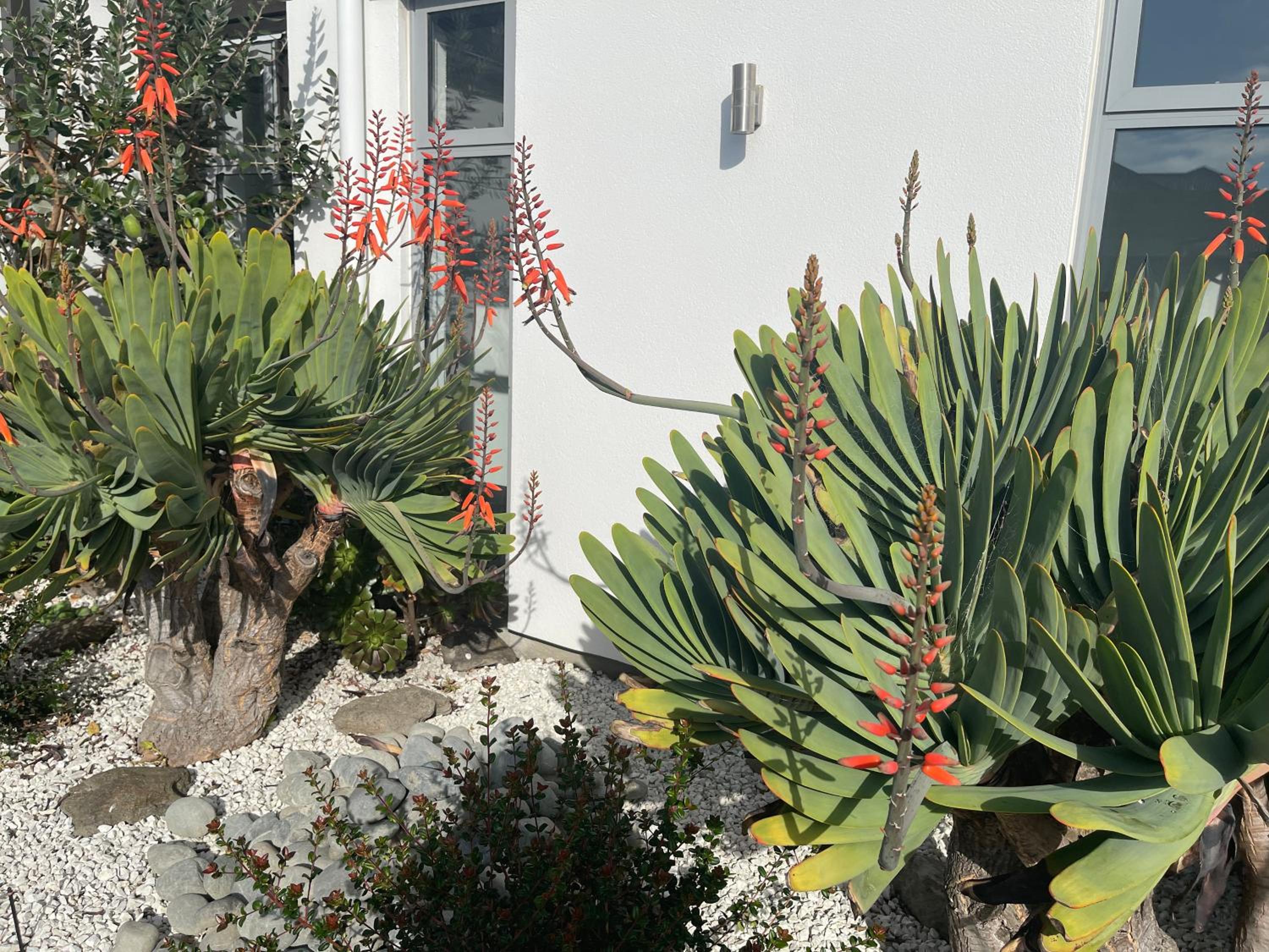 Stunning park side holiday home view 3