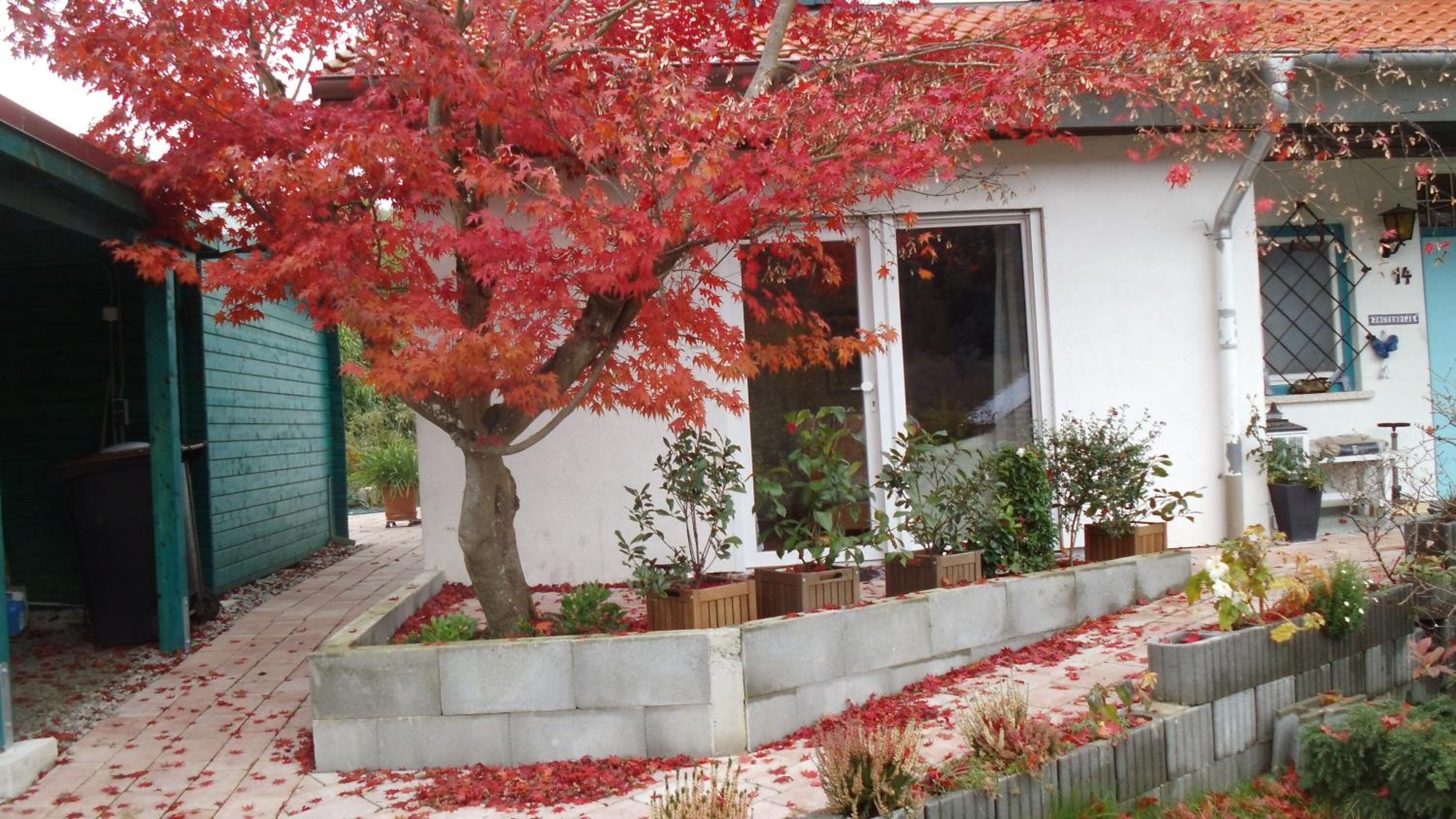 Haus Magnolia 2